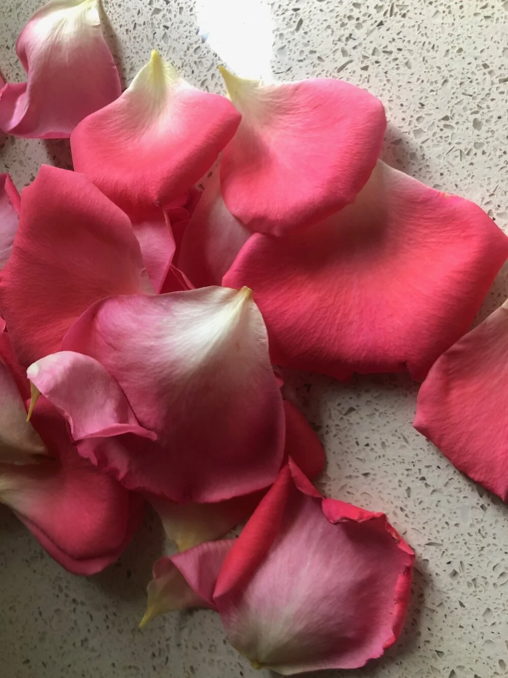 The writing life--a fantasy