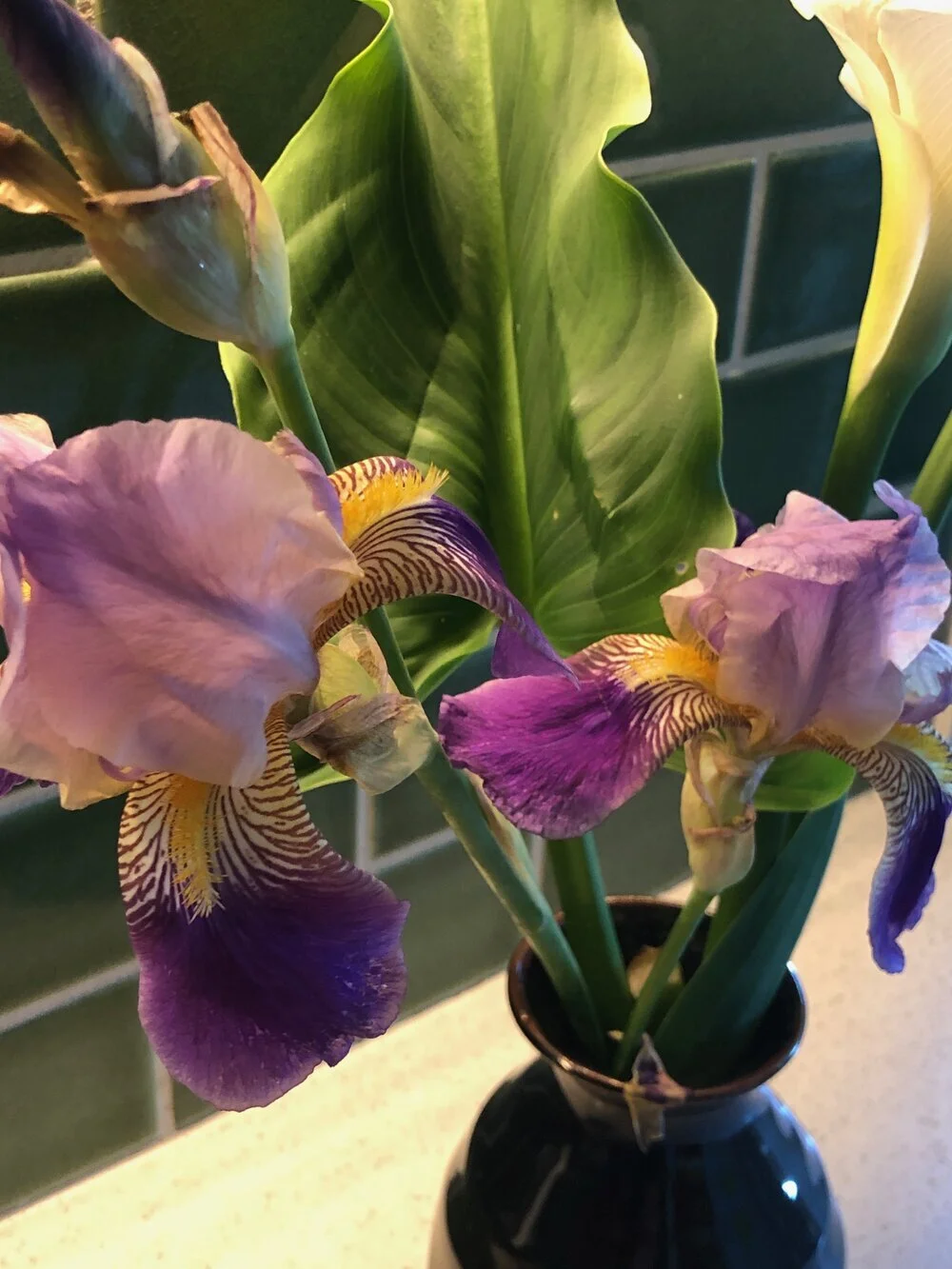 History fills up space