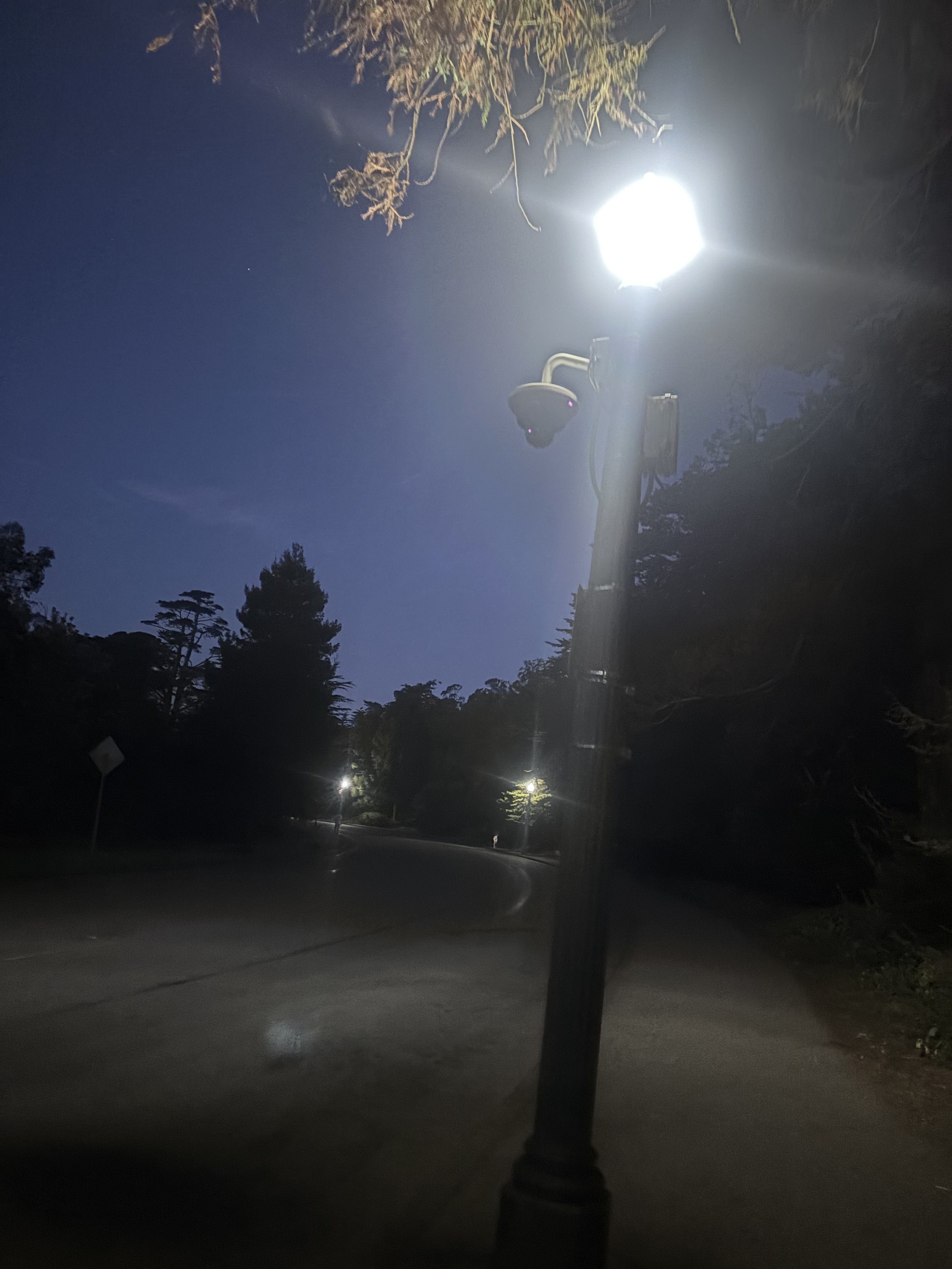 IMG_6911.jpeg