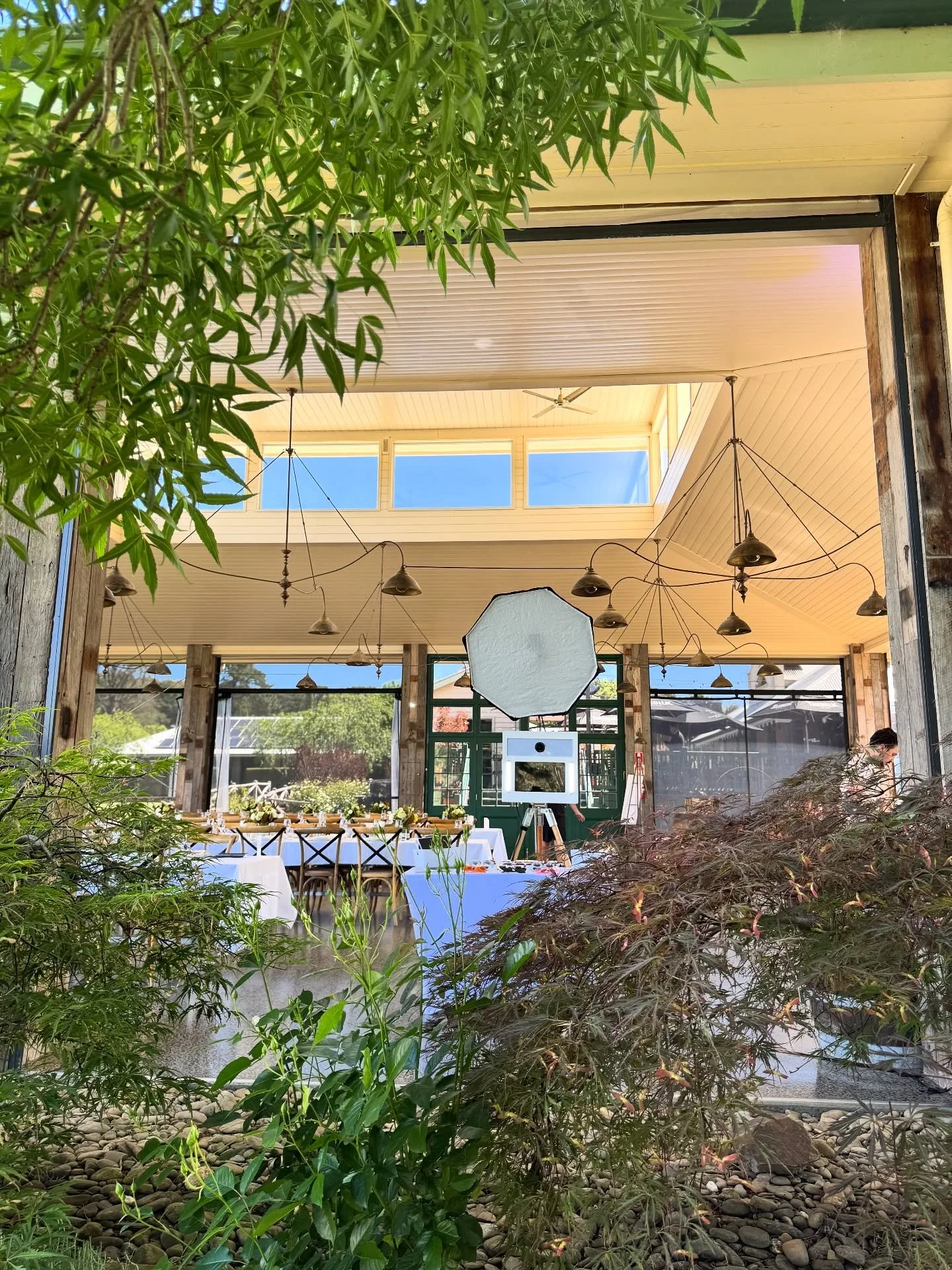 Heaven on earth whenever we booth with @flowerdaleestate ✨🌳☀️