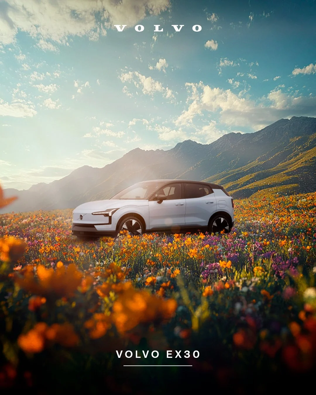 2-Galería-Primavera.jpg