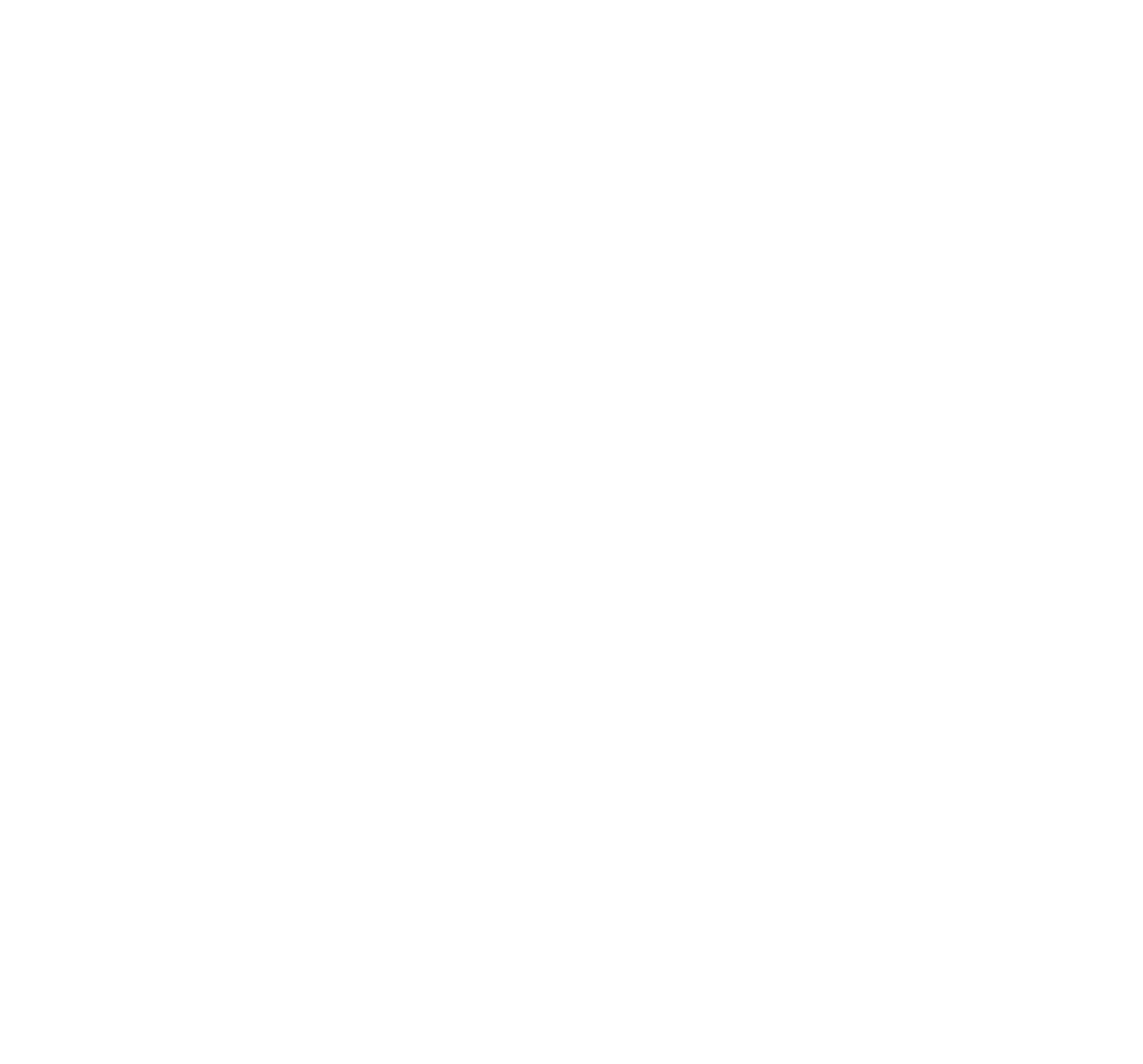 MARIACHI EL BRONX