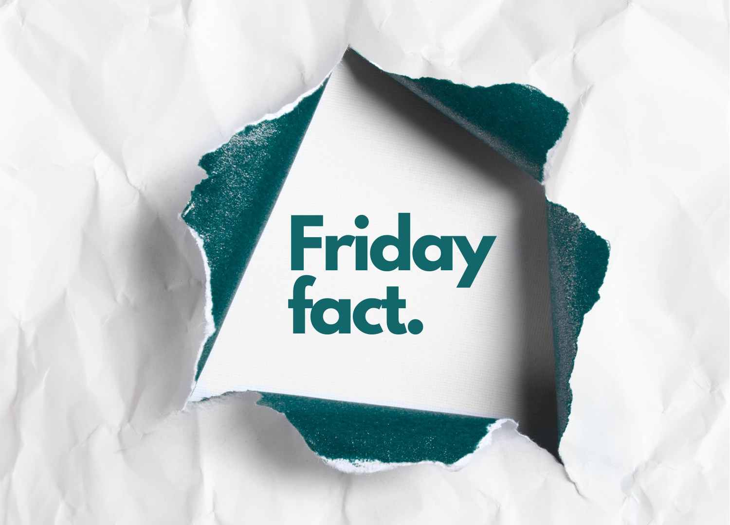 Let's Talk Bulk Bags