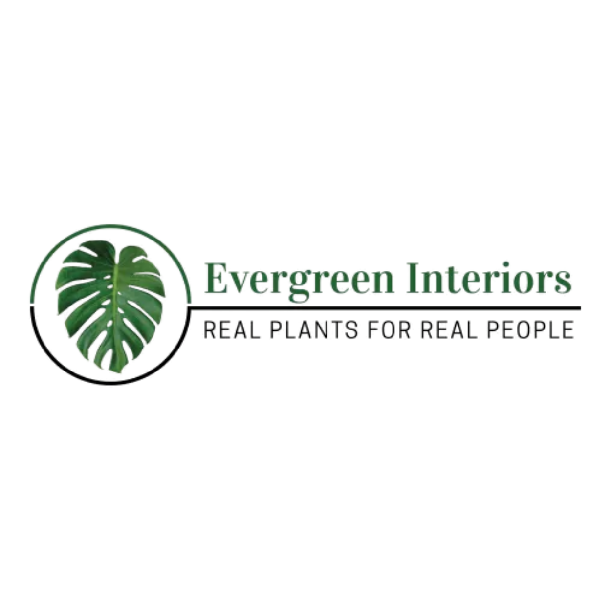 Evergreen Interiors