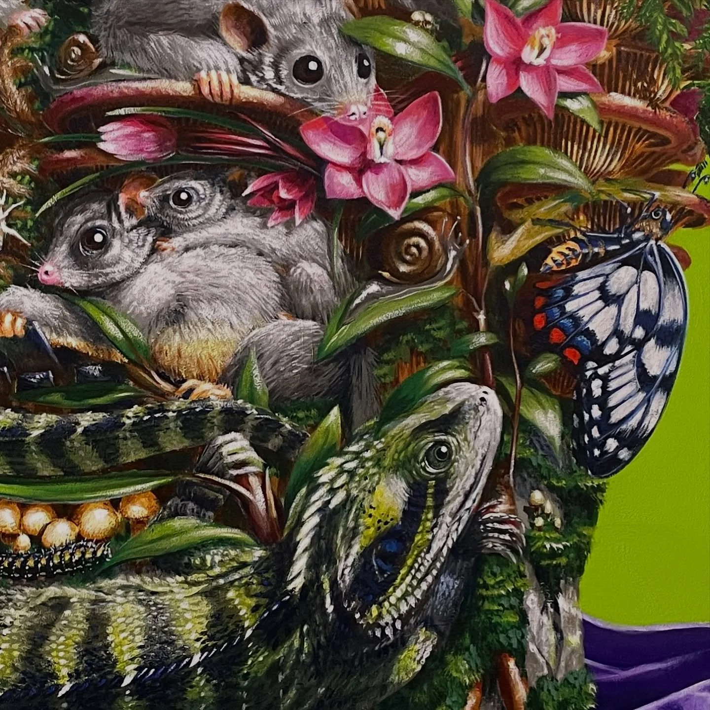 Hey Canberra! This appropriately named piece “Animalias” will be showing in “Animalia” opening this Friday night from 5pm at the @q_gallery_ arts hub 1/13 Edgar St, Ainslie in a salon collection of animal based artworks by Aus