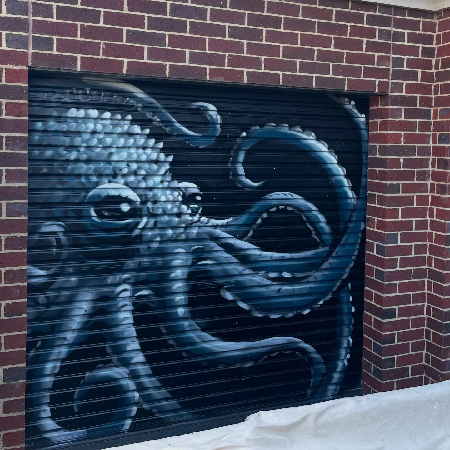 Things from 2025 part 2 

Octopus&rsquo;s Garden at Kayla&rsquo;s place as supervised by Astro, by far the most handsome site manager I&rsquo;ve ever worked with 😂

#art #mural #muralpainting #rollerdoorart #aerosolart #octopus #octopusart