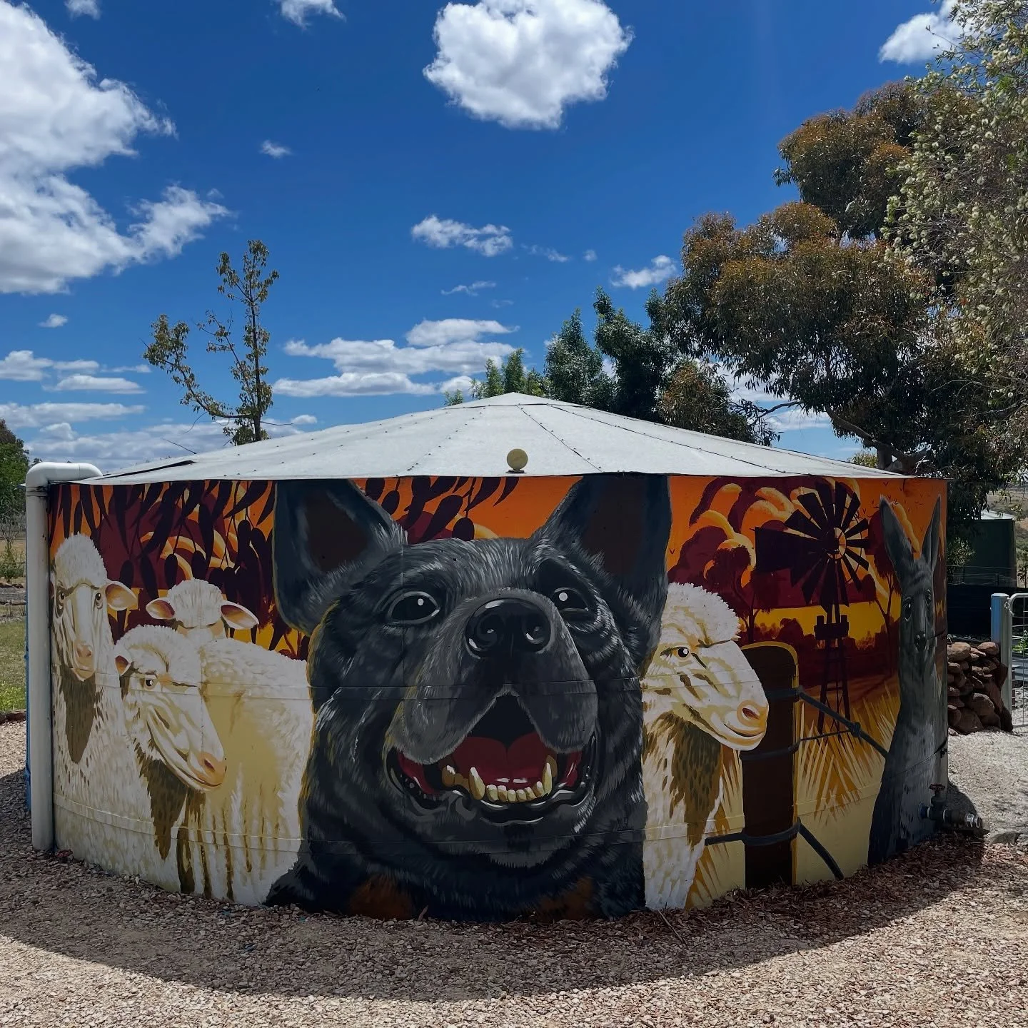 2025 things 

Jeffrey on the Farm
Thanks to Dan for inviting me to give this water tank on his property in Redesdale a make over and many thanks to the hero of the piece, @jeffreys.adventures.acd for looking after me on site and only chewing on my ty