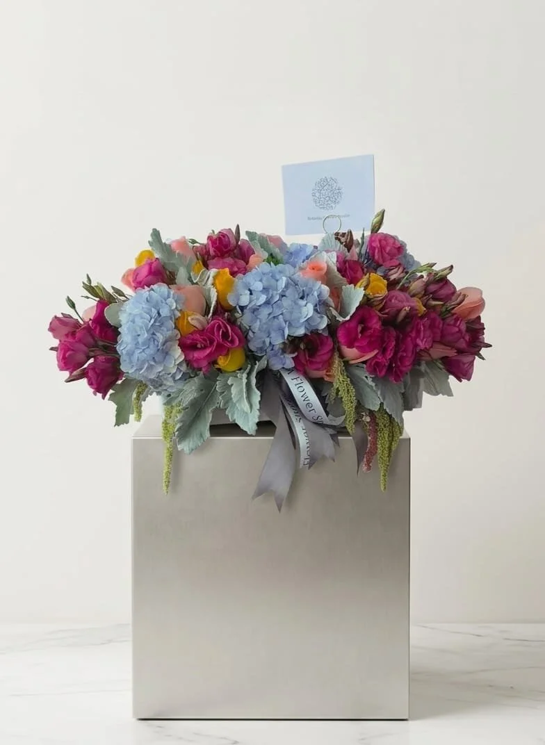 Box Hortensias
