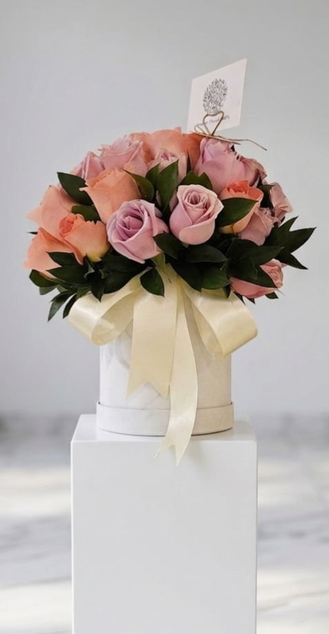 Box Rosas