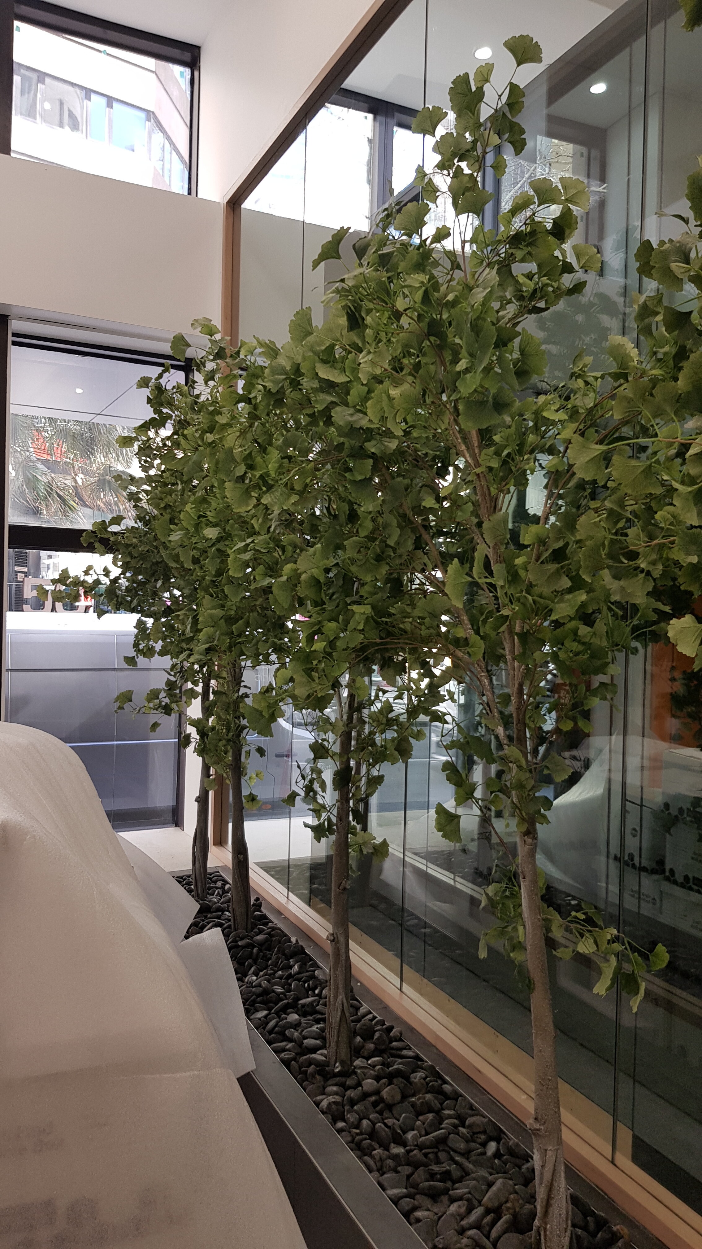 20190808_124959.jpg