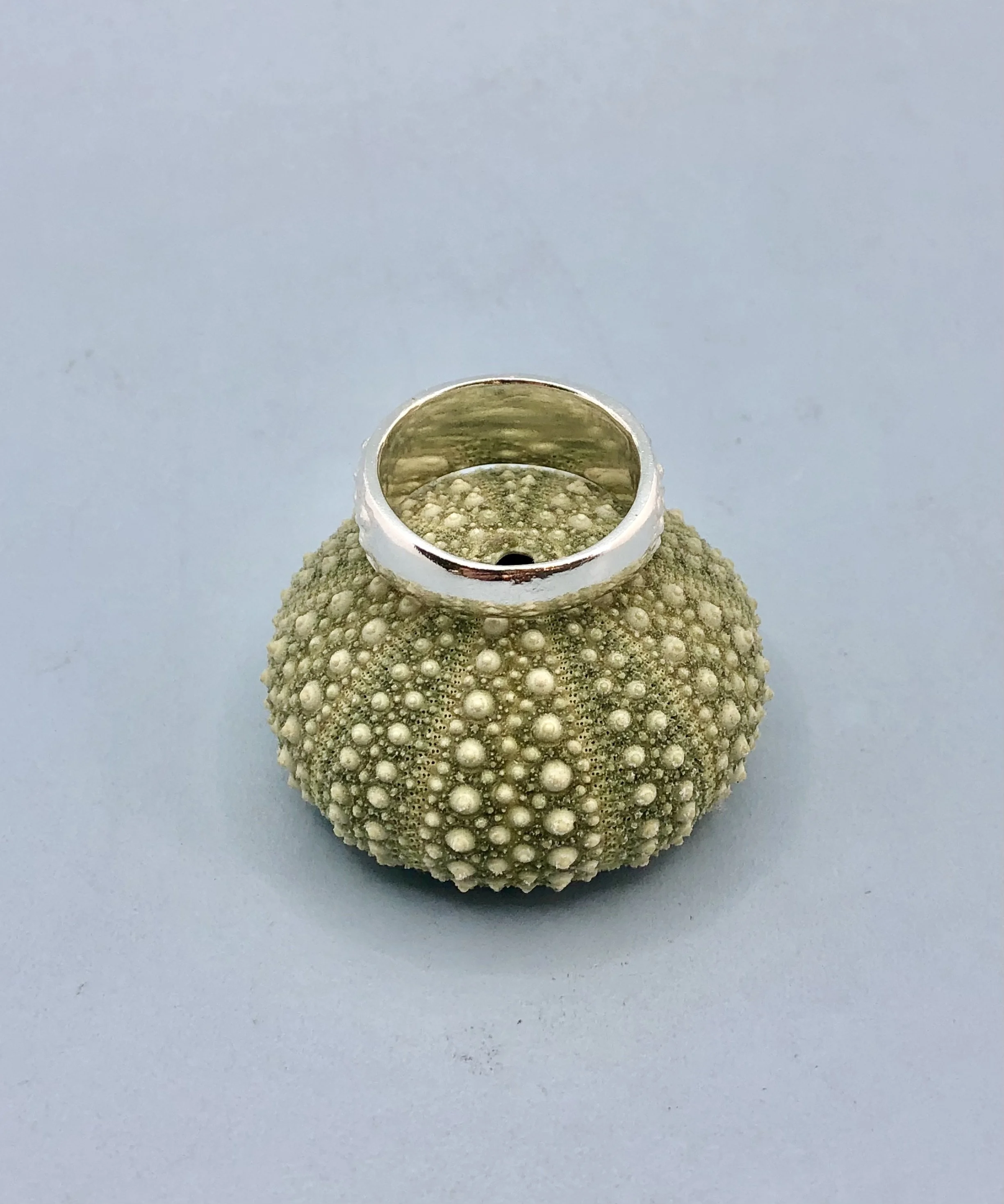 Kina textured ring flat lay showing sterling silver finish and tapered band shape