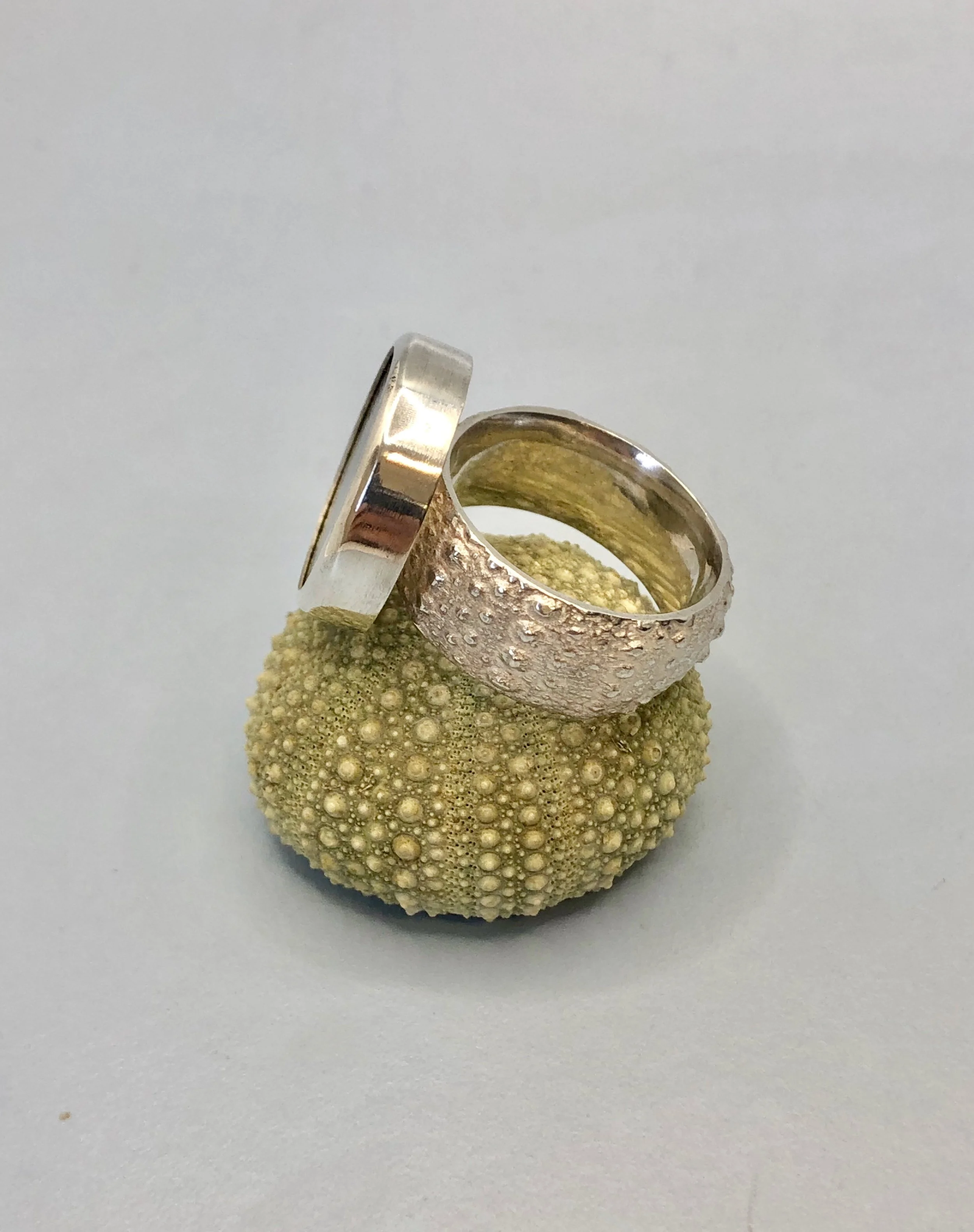 Side view of sea urchin and greenstone ring showing profile of disc and Kina ring