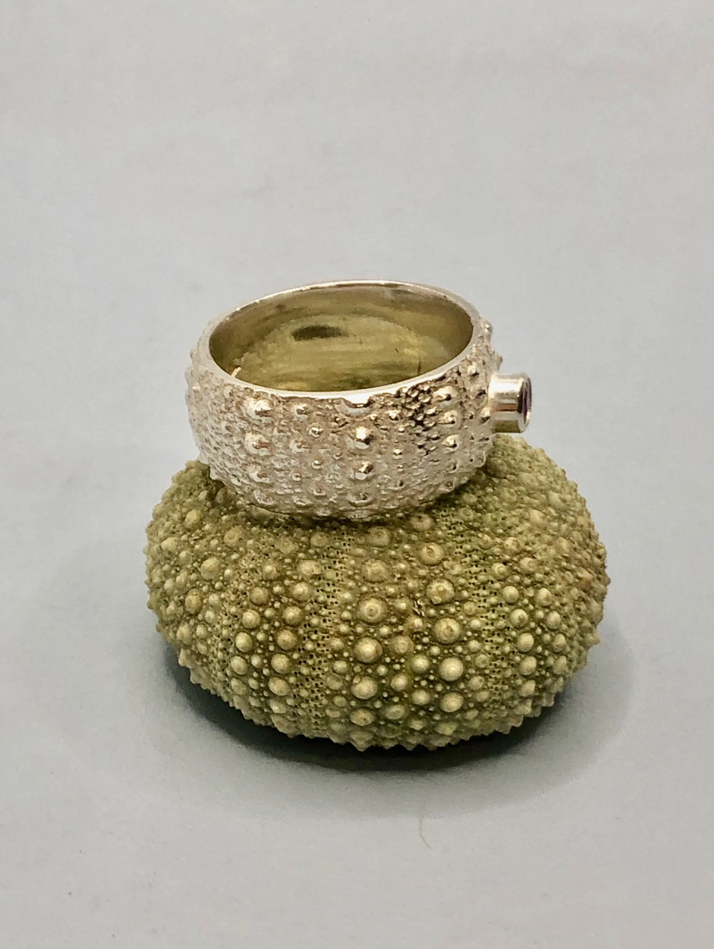Side view of Kina and ruby ring sitting on top of a Kina, sea urchin