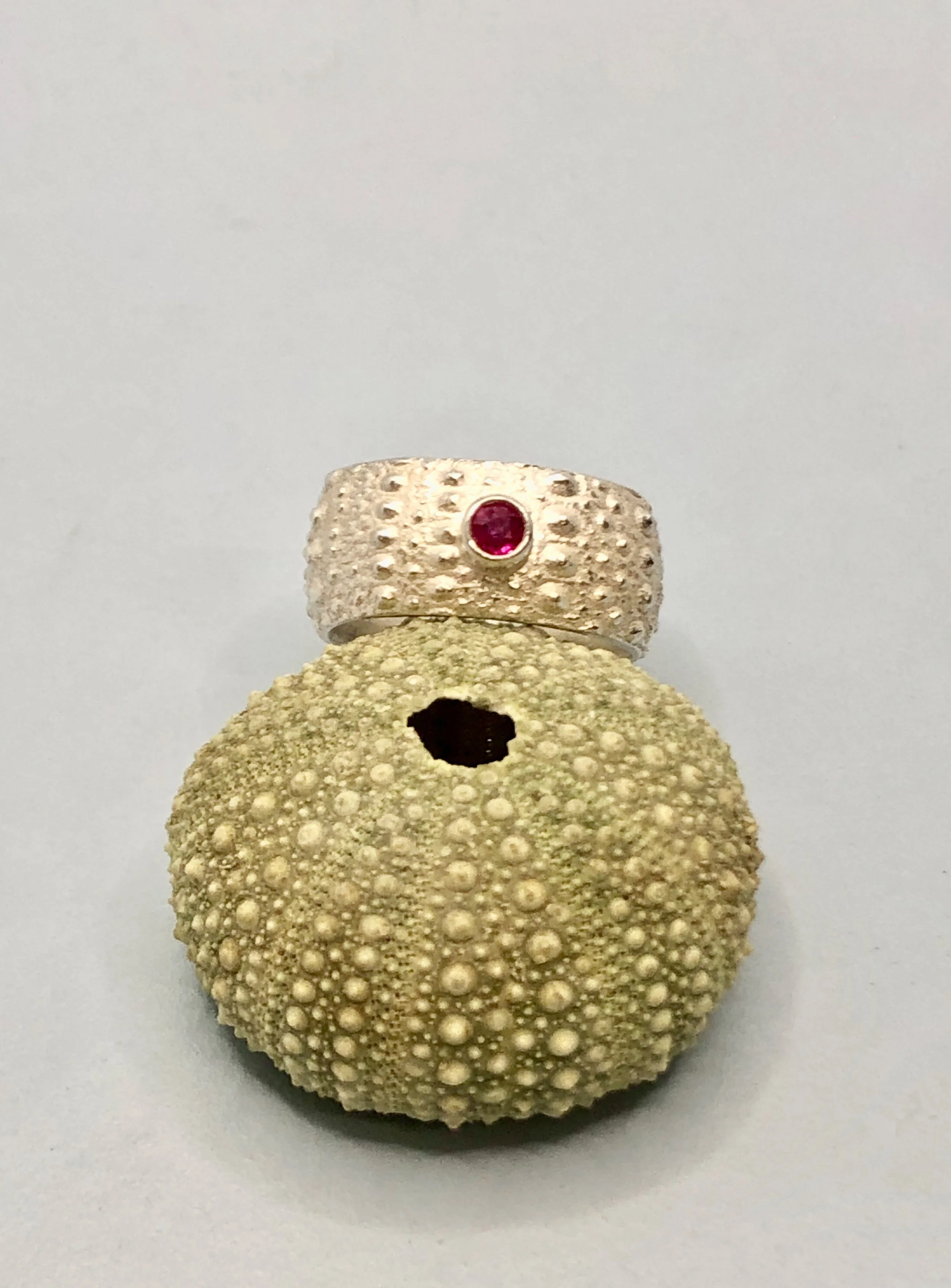 Ruby and silver Kina textured ring resting against a sea urchin to show pattern