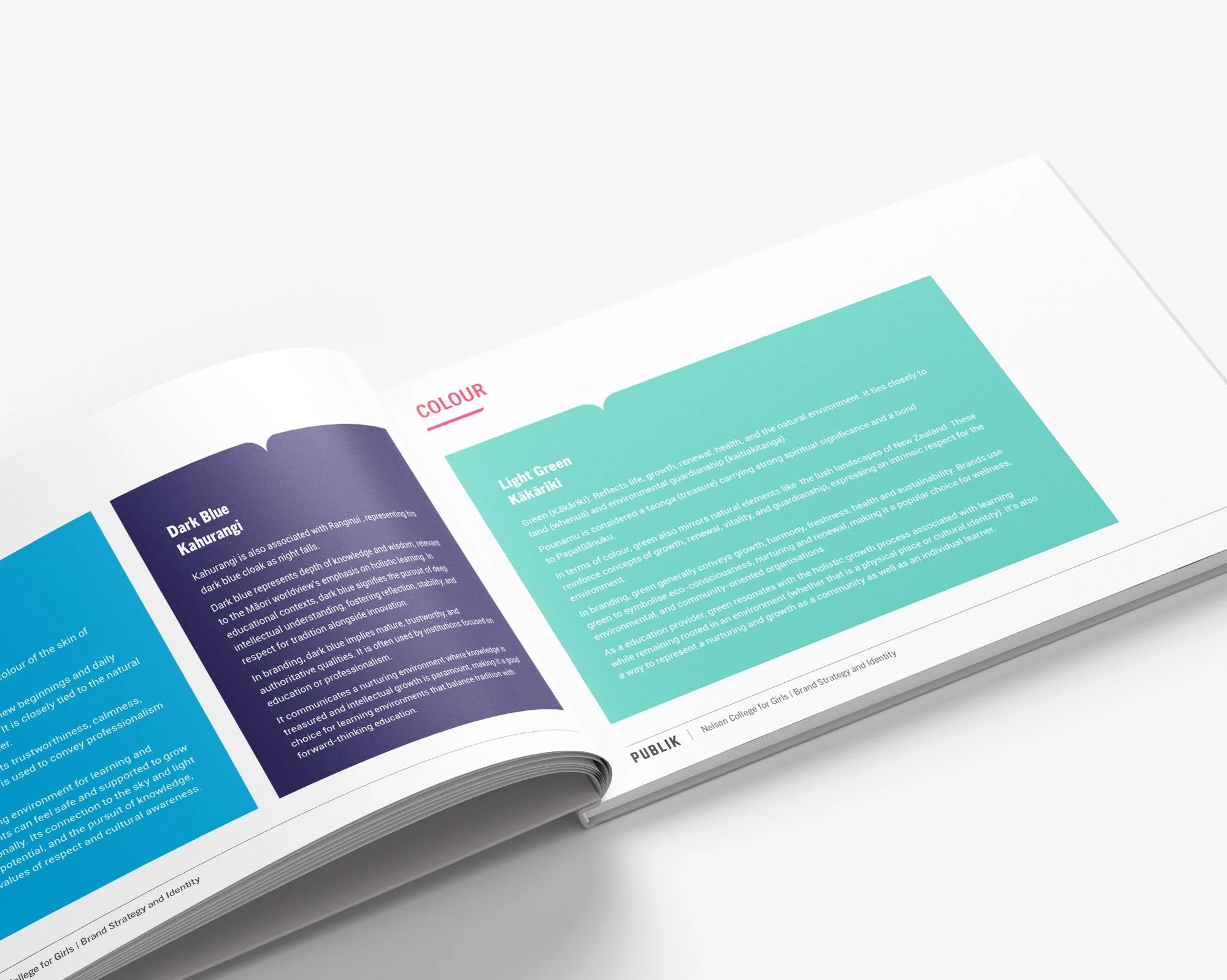 An easy-to-follow brand resource for Nelson College for Girls.