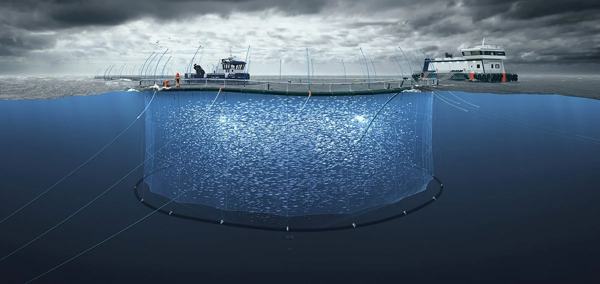 A concept image for NZ King Salmon's open ocean aquaculture farm under construction, Blue Endeavour. We led the media and PR plan to announce hard-won government approval to proceed with the development.
