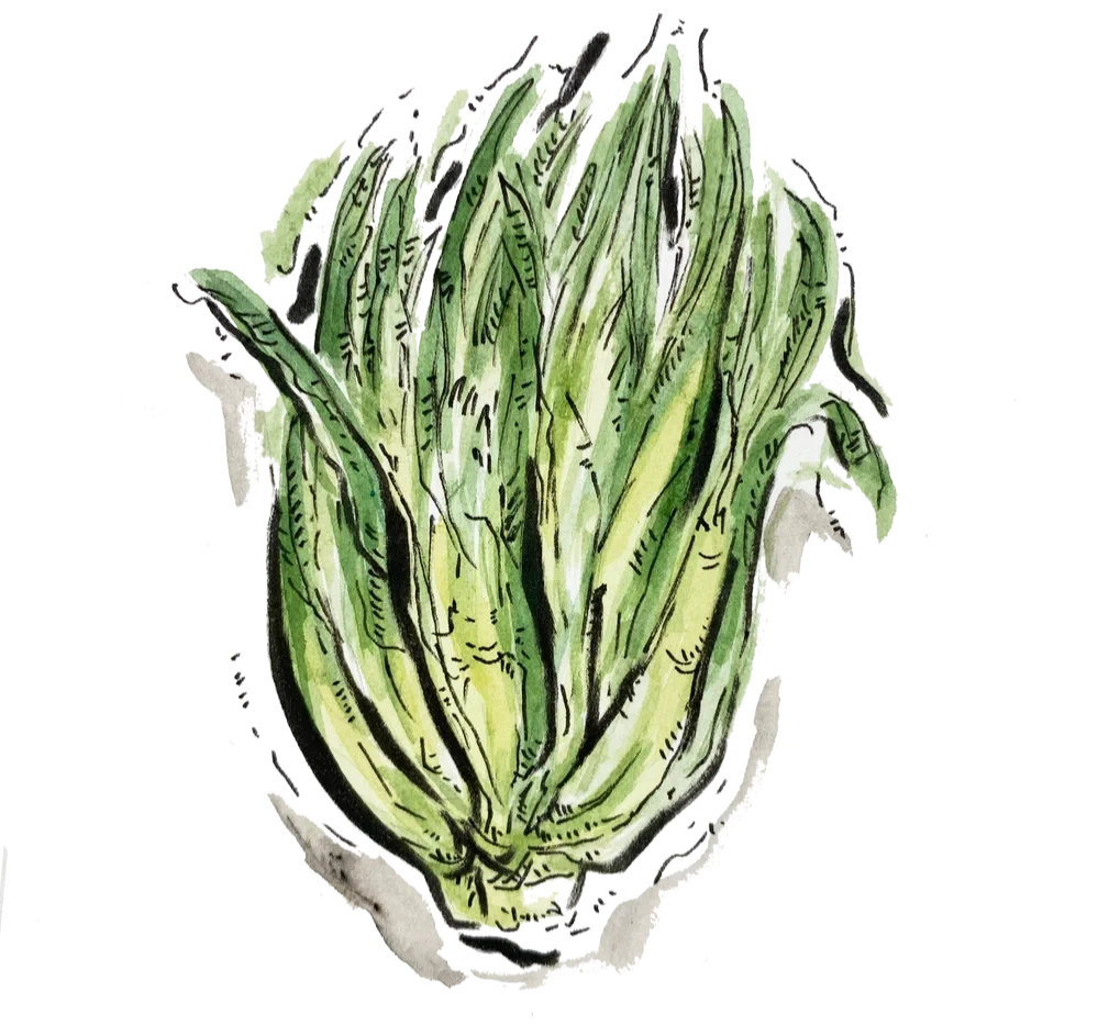 May Harvest Lunch — Dry-aged Ravens Creek pork cutlet, puntarelle, sauce charcuterie