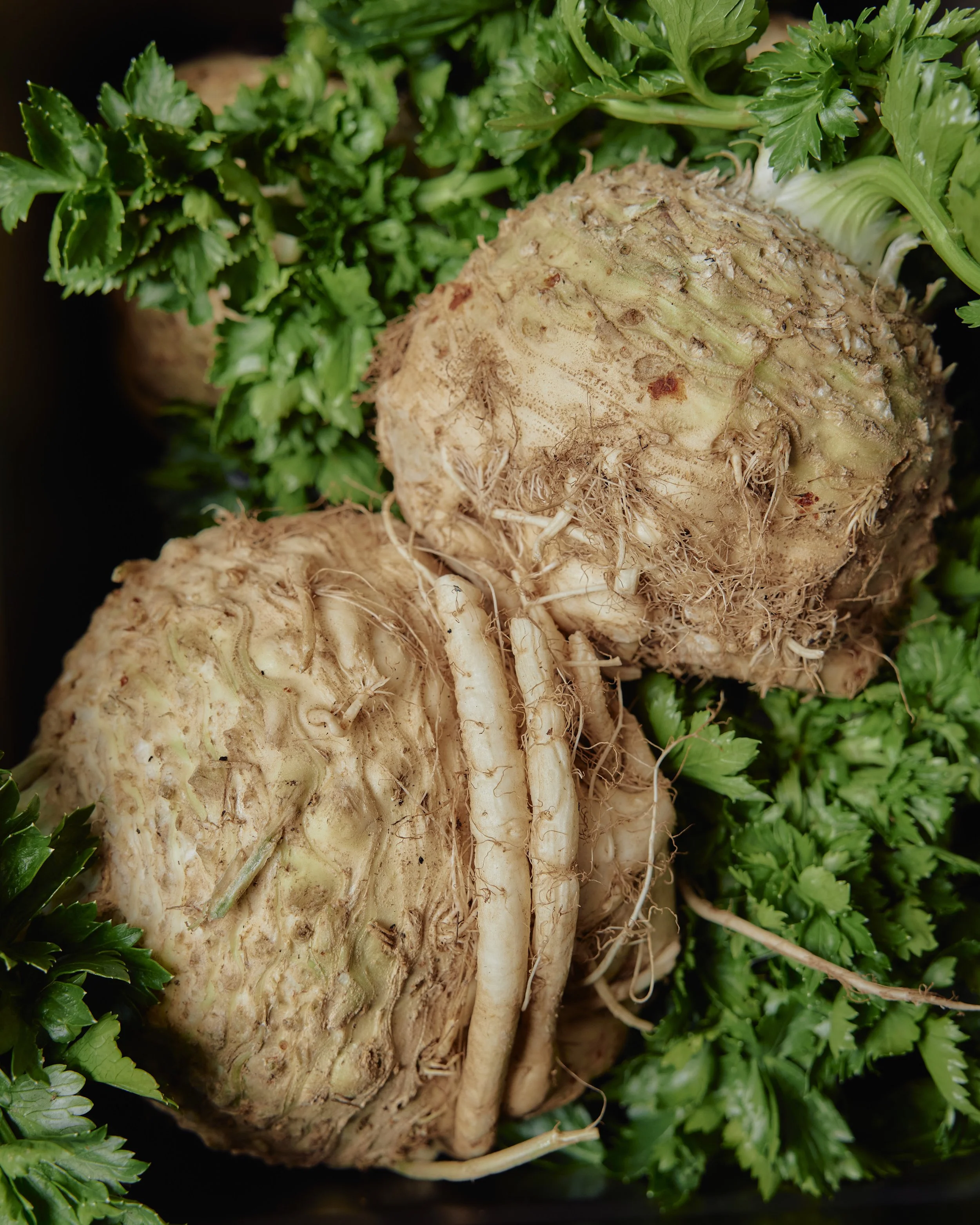 Recipe — Hannah’s Warm Celeriac Remoulade