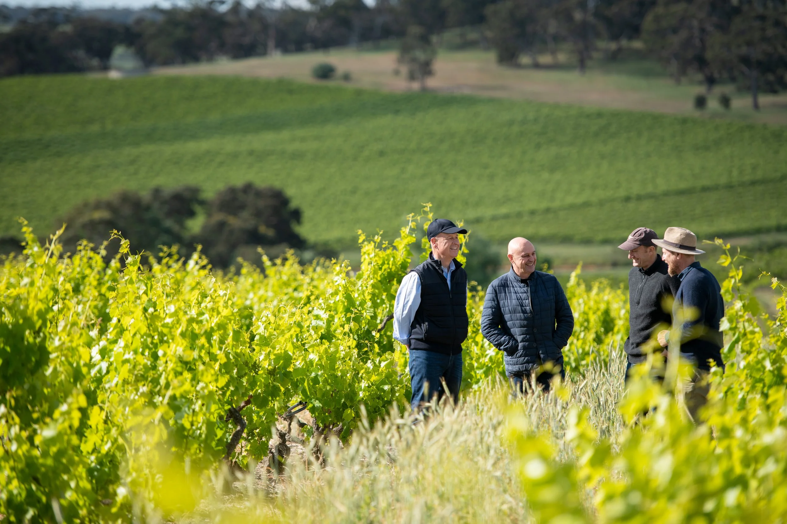 Cumulus Inc. Presents: An Evening with MMAD Vineyard
