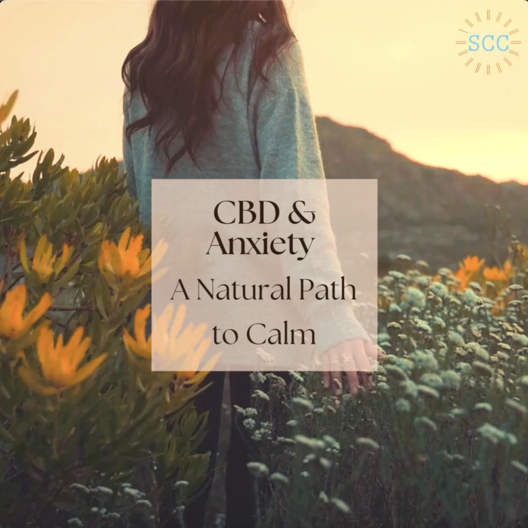 CBD and Anxiety: A Natural Path to Calm