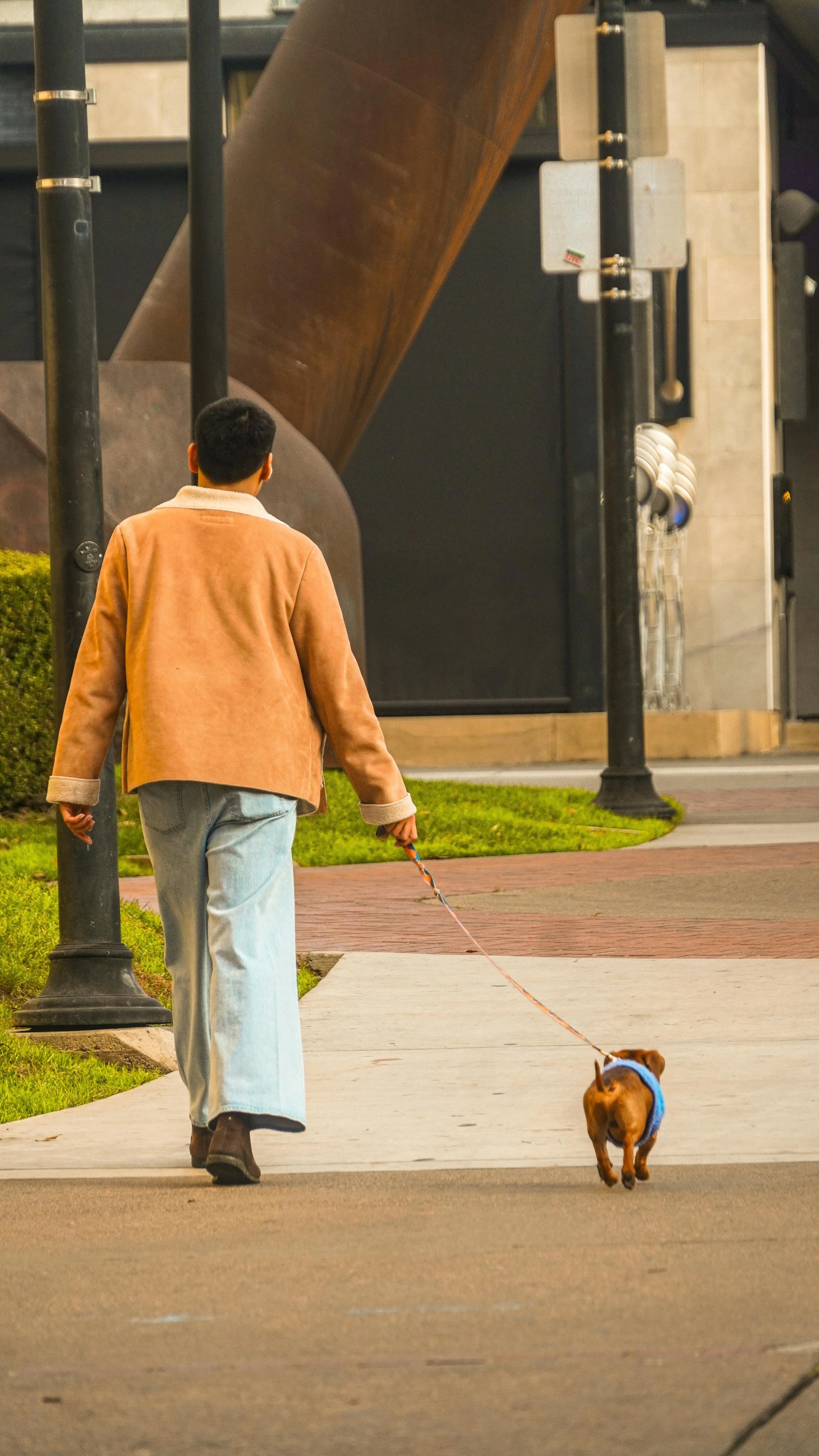 Understanding Anticipatory Grief: What Pet Parents Feel Before Saying Goodbye