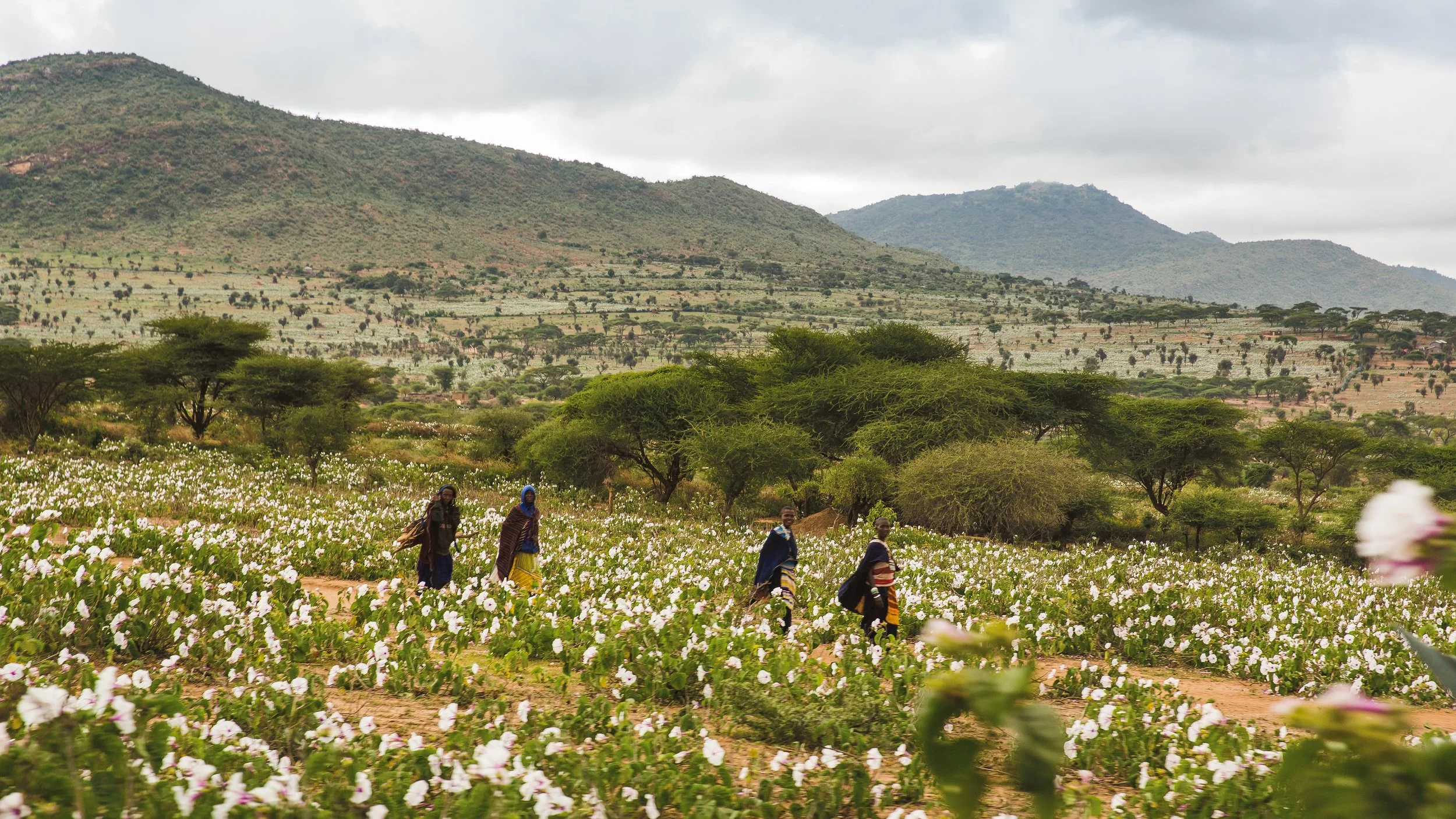 20190610_0384TY 2.jpg