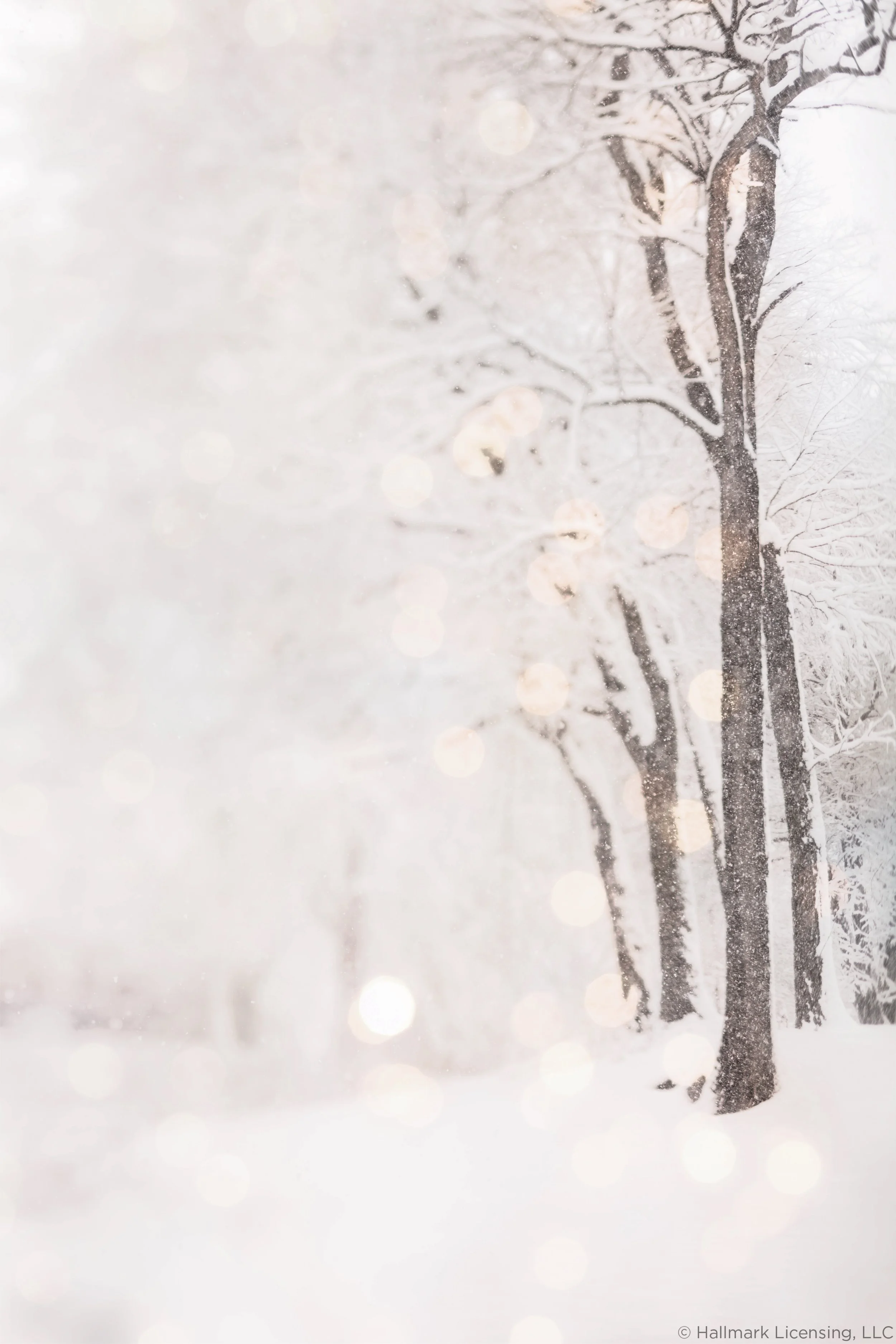 011219_247_THTM copy-3_HallmarkLogo.jpg