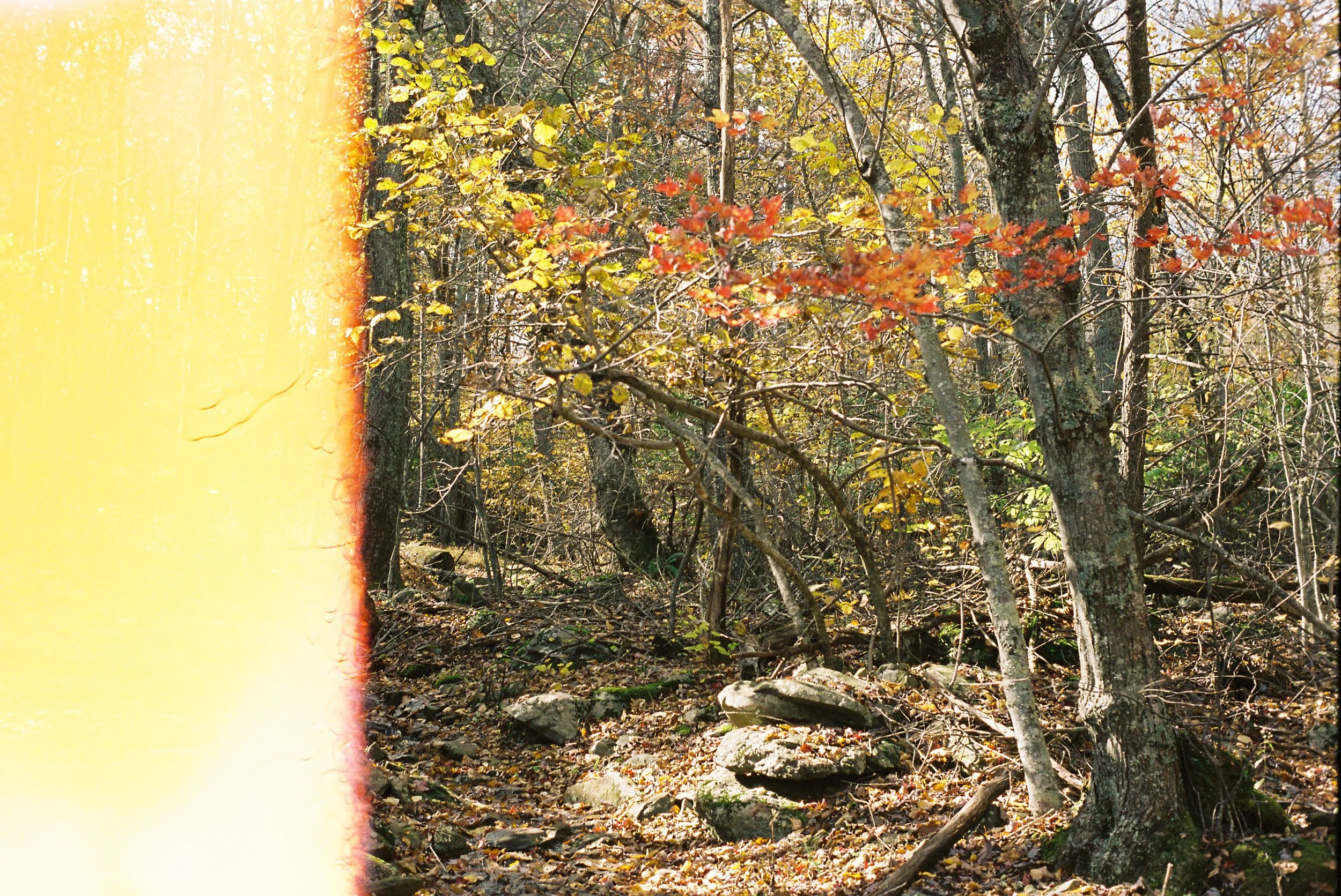 0121211-R1-021-9 copy.jpg