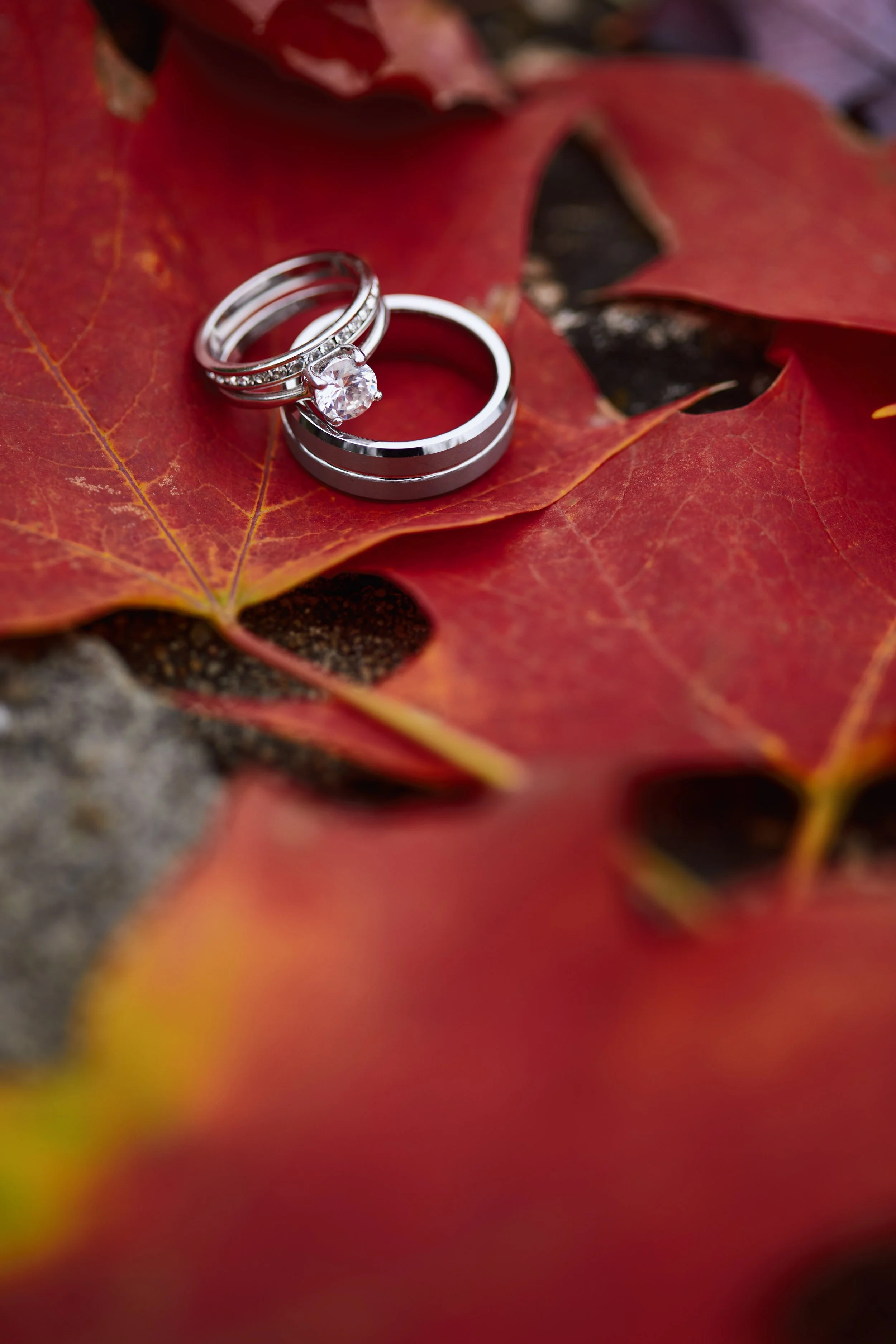 Styled by Nicole Cawfield