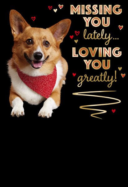 © Hallmark Licensing, LLC