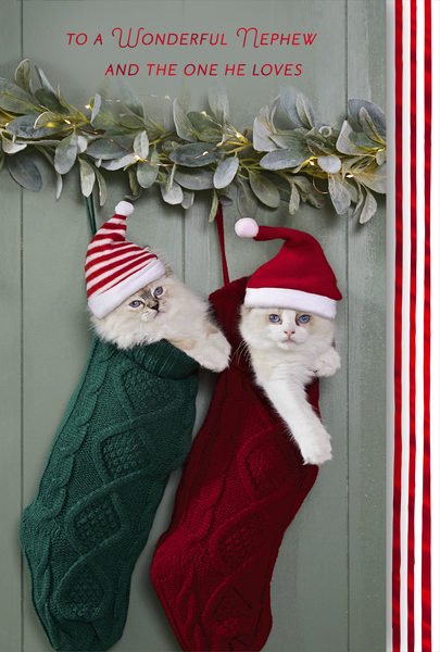© Hallmark Licensing, LLC