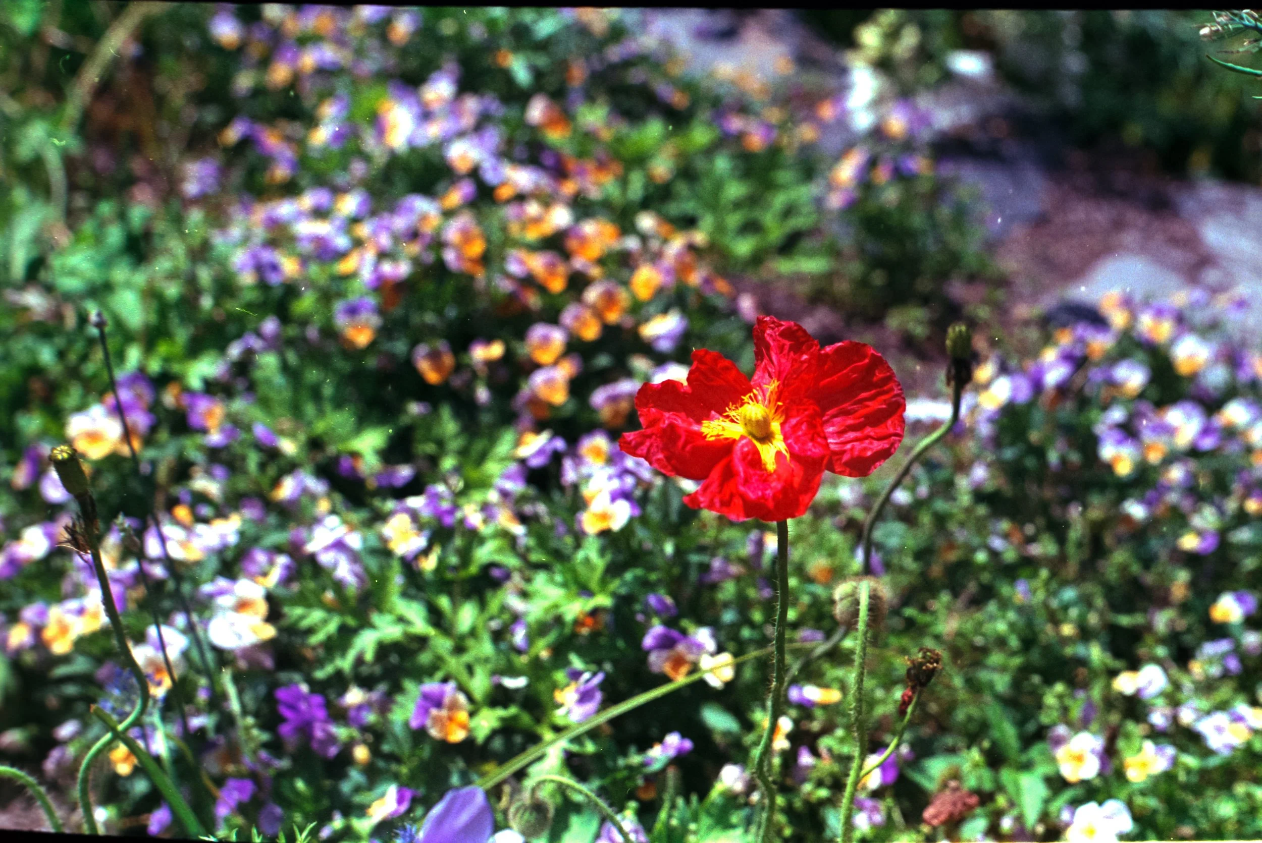 20150501_63.JPG