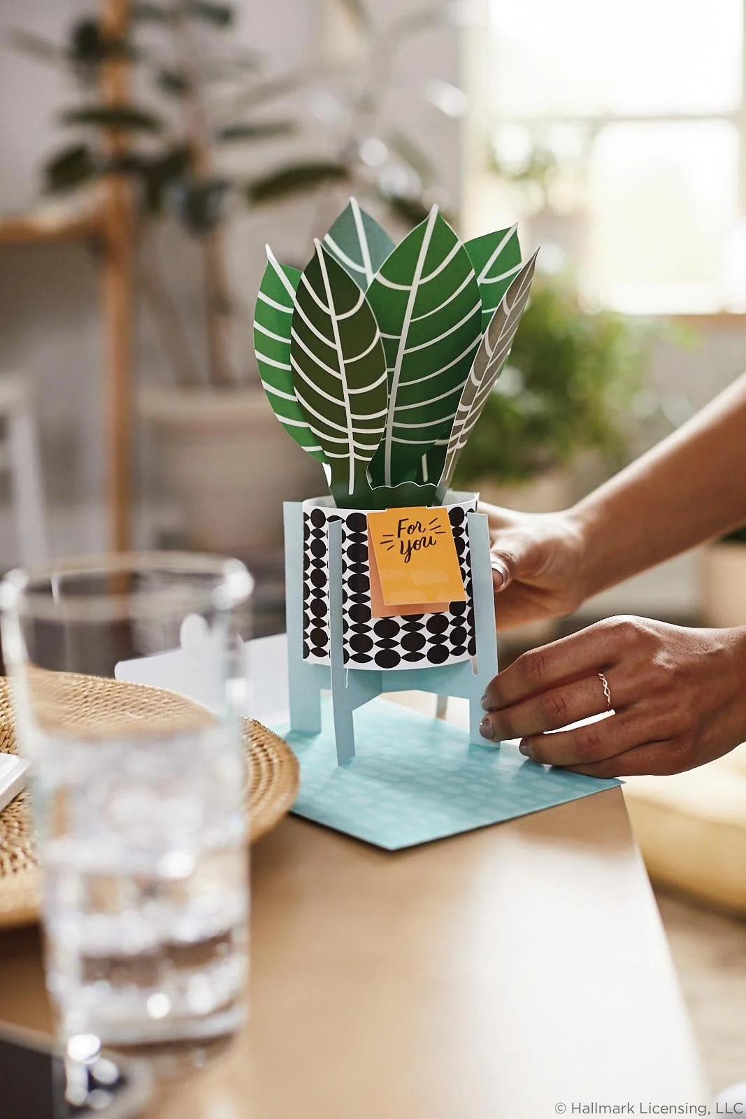 Styled by Sarah Terranova   |   Art Direction Alfred Jones