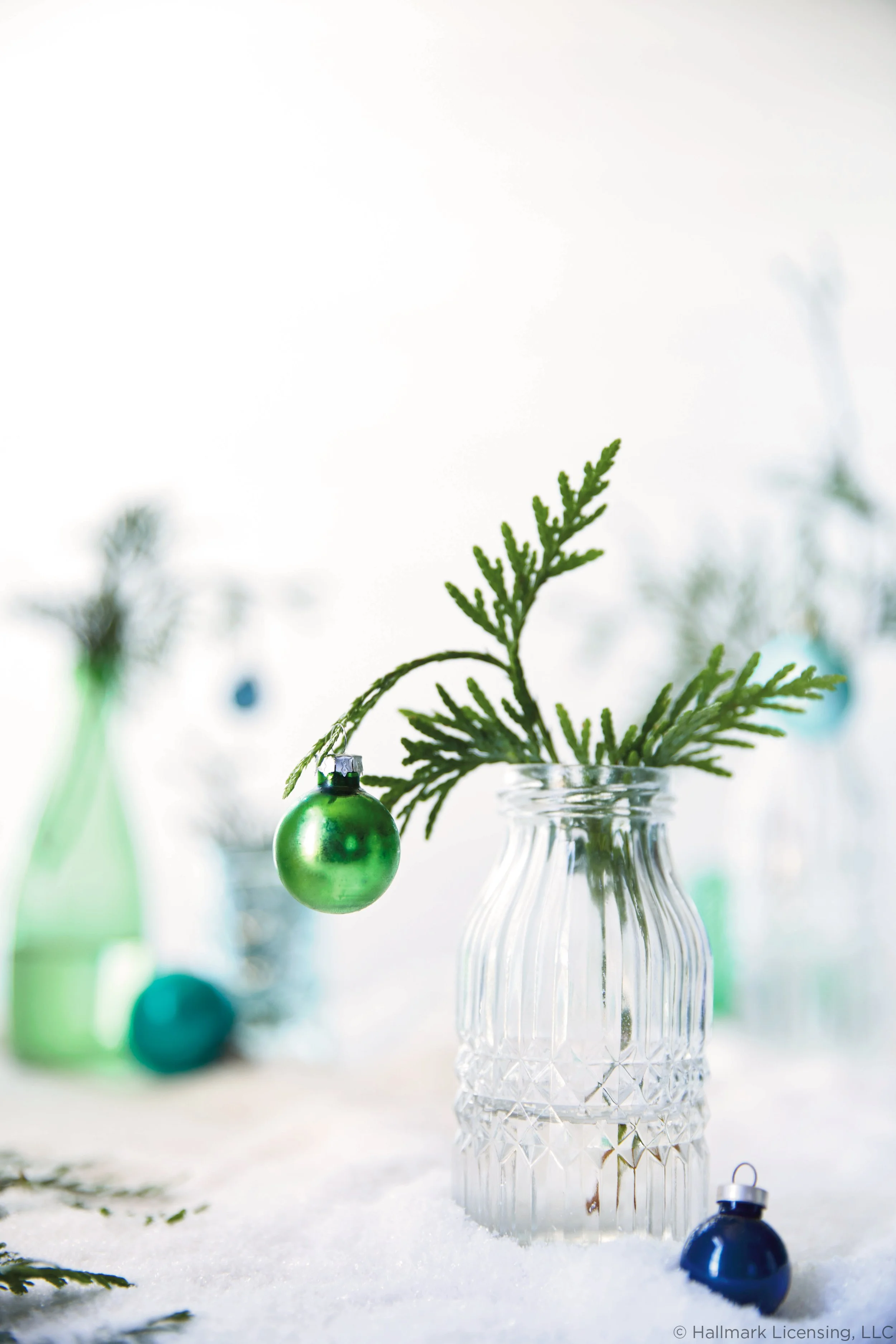 Styled by Briana Williams  |  Art Direction Erin Curtis