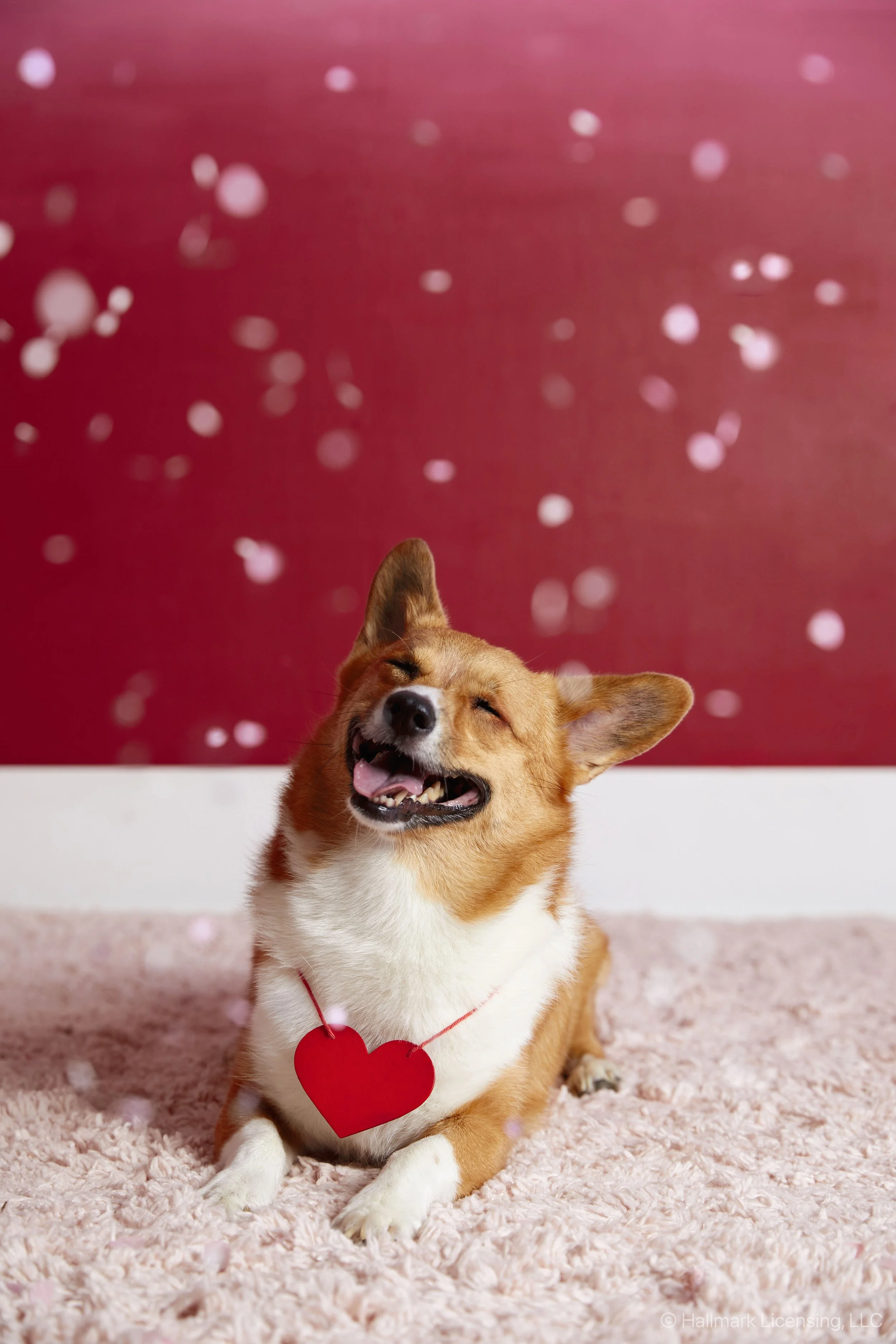 Styled by Kyndall Durkee   |   Art Direction Erin Curtis