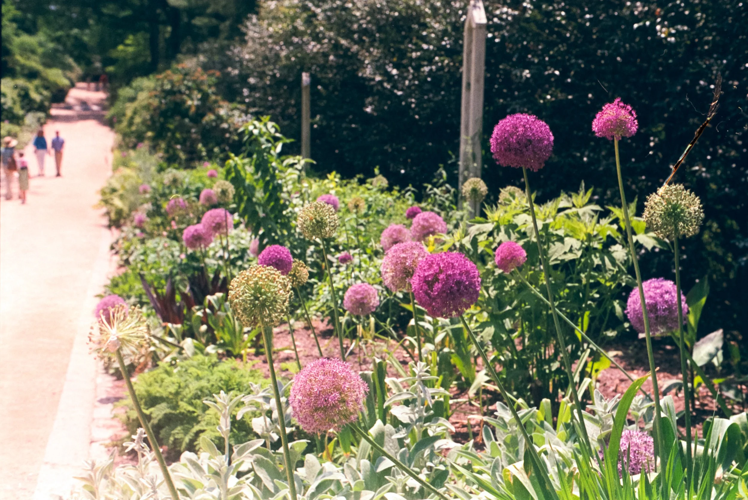 20150501_62.jpg