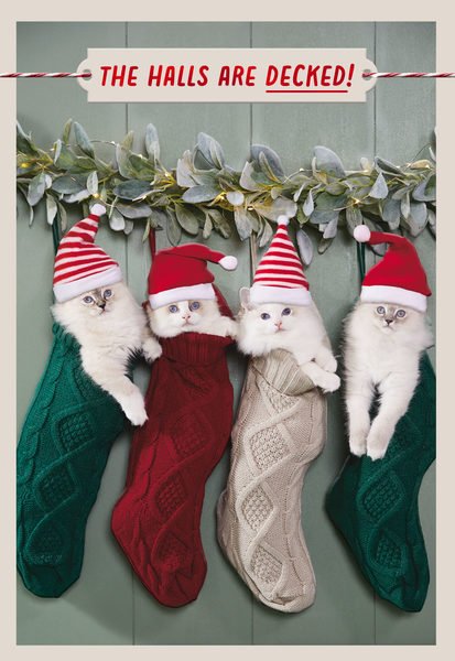 12_Christmas_00.jpeg