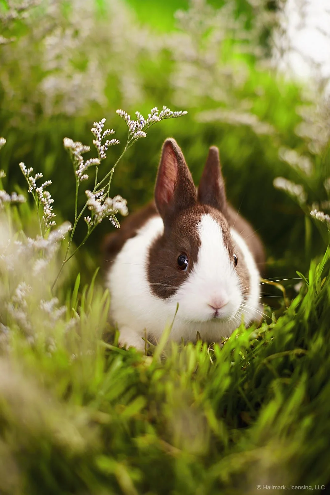 Styled by Kyndall Durkee   |   Art Direction Erin Curtis