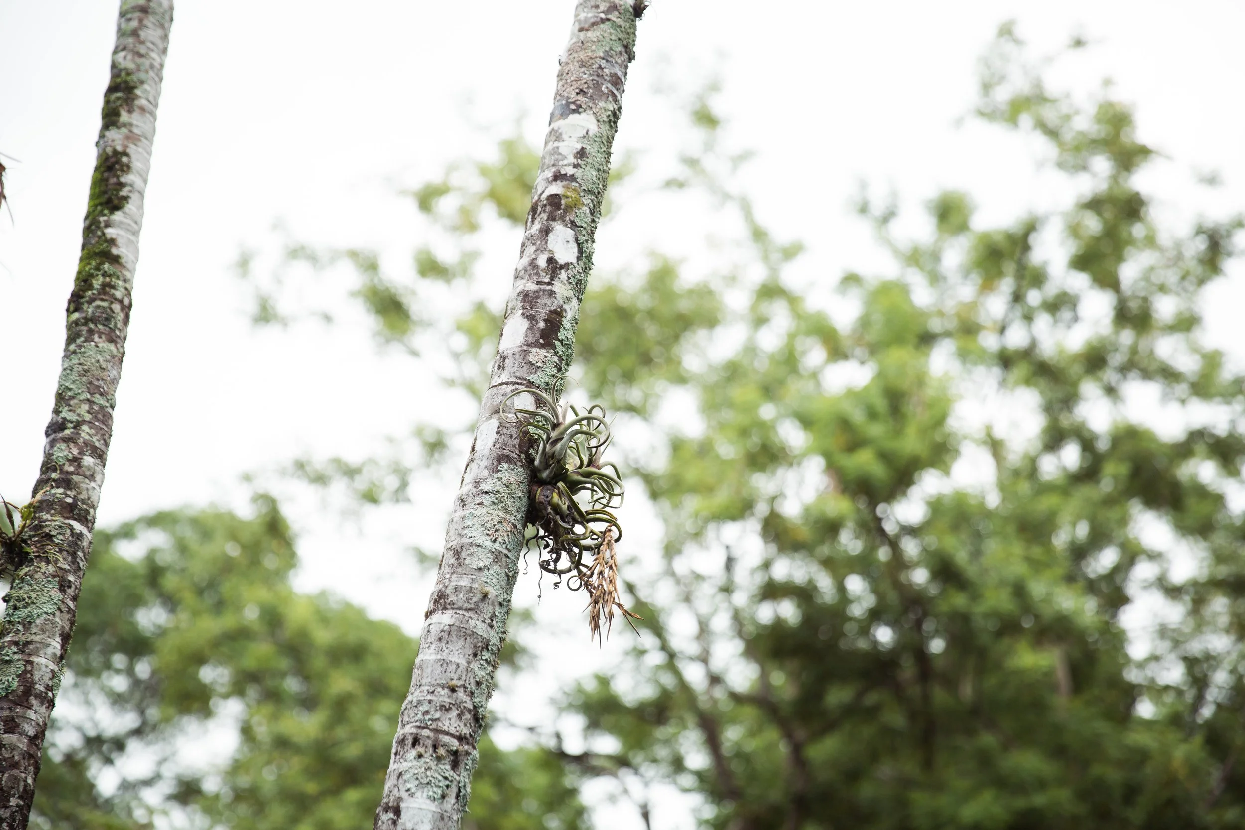 20180710_0650TY copy.jpg