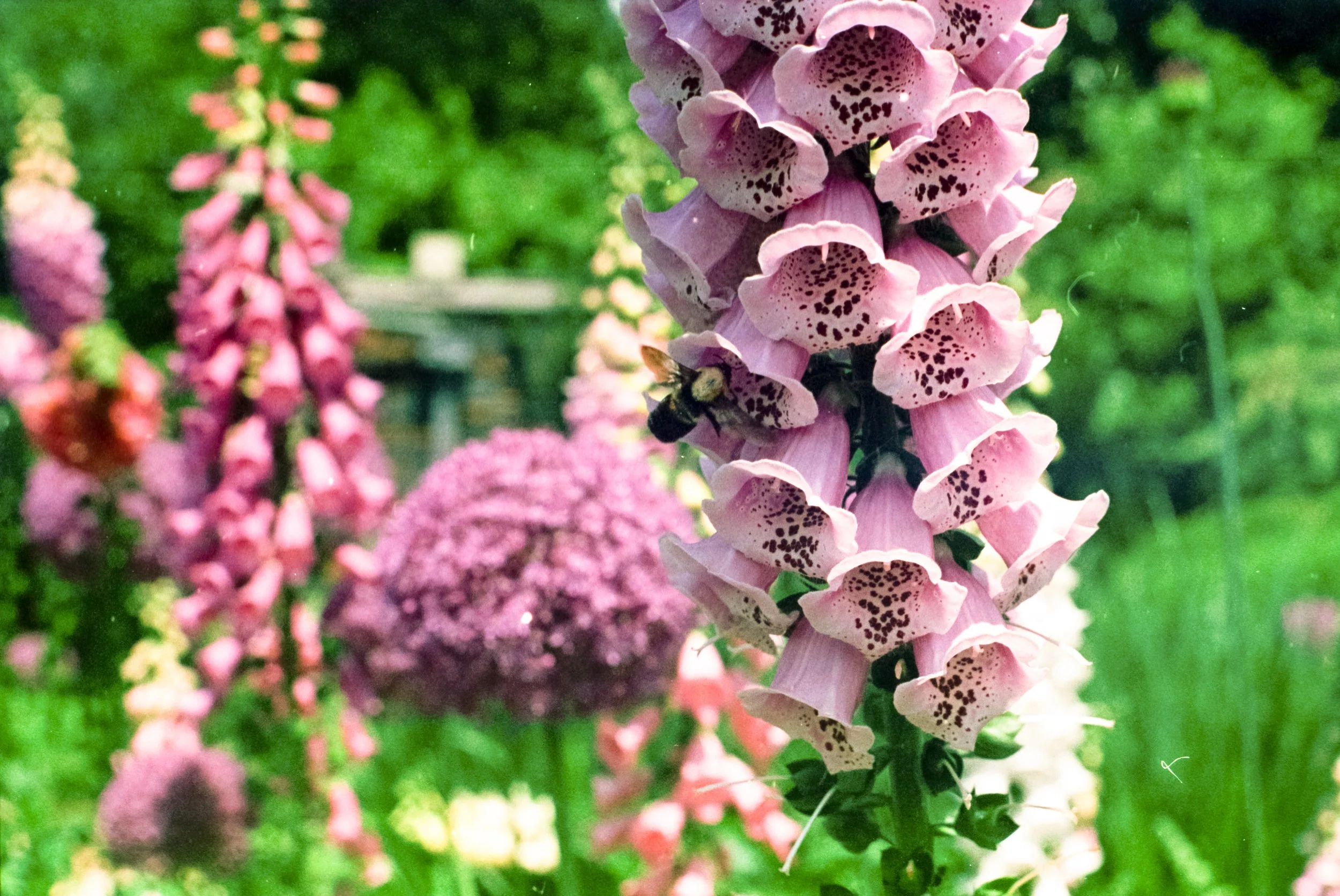 20150501_66.jpg