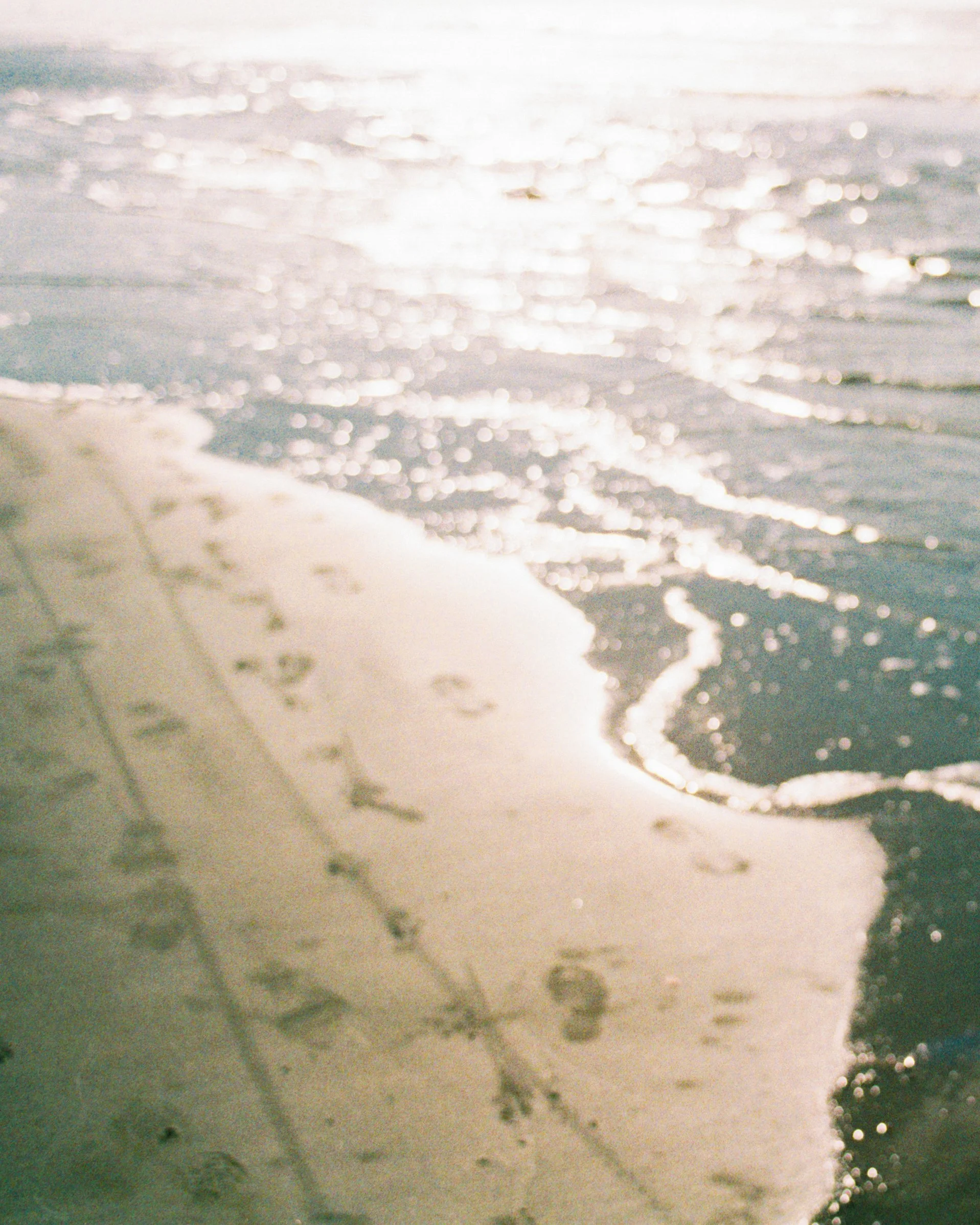 1295008318-R1-038_edit.jpg