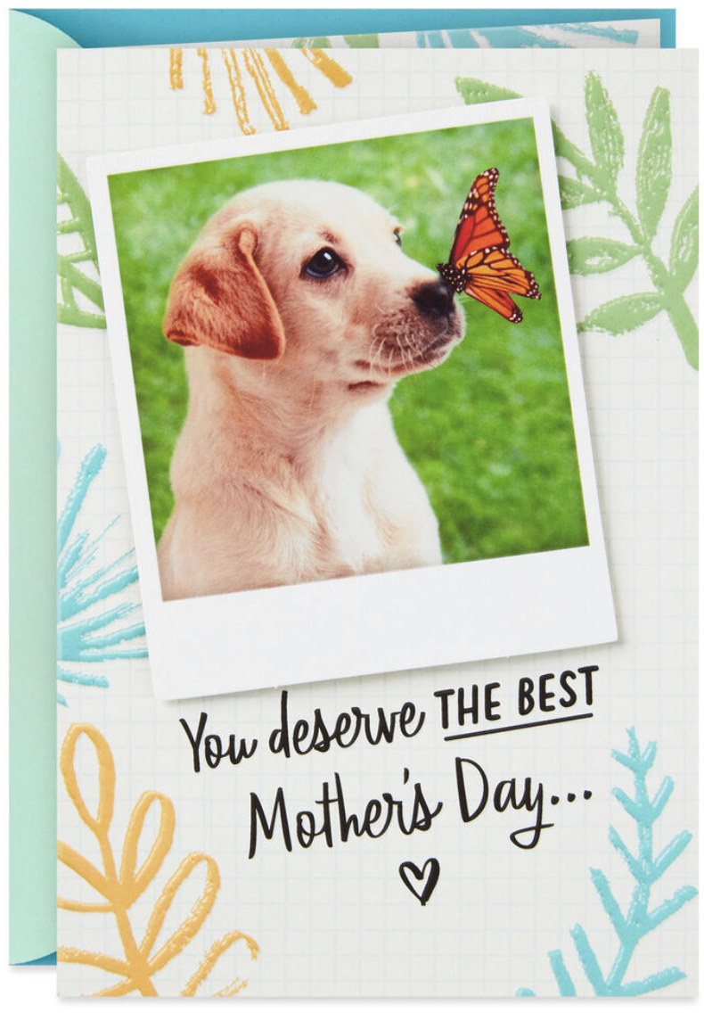 © Hallmark Licensing, LLC