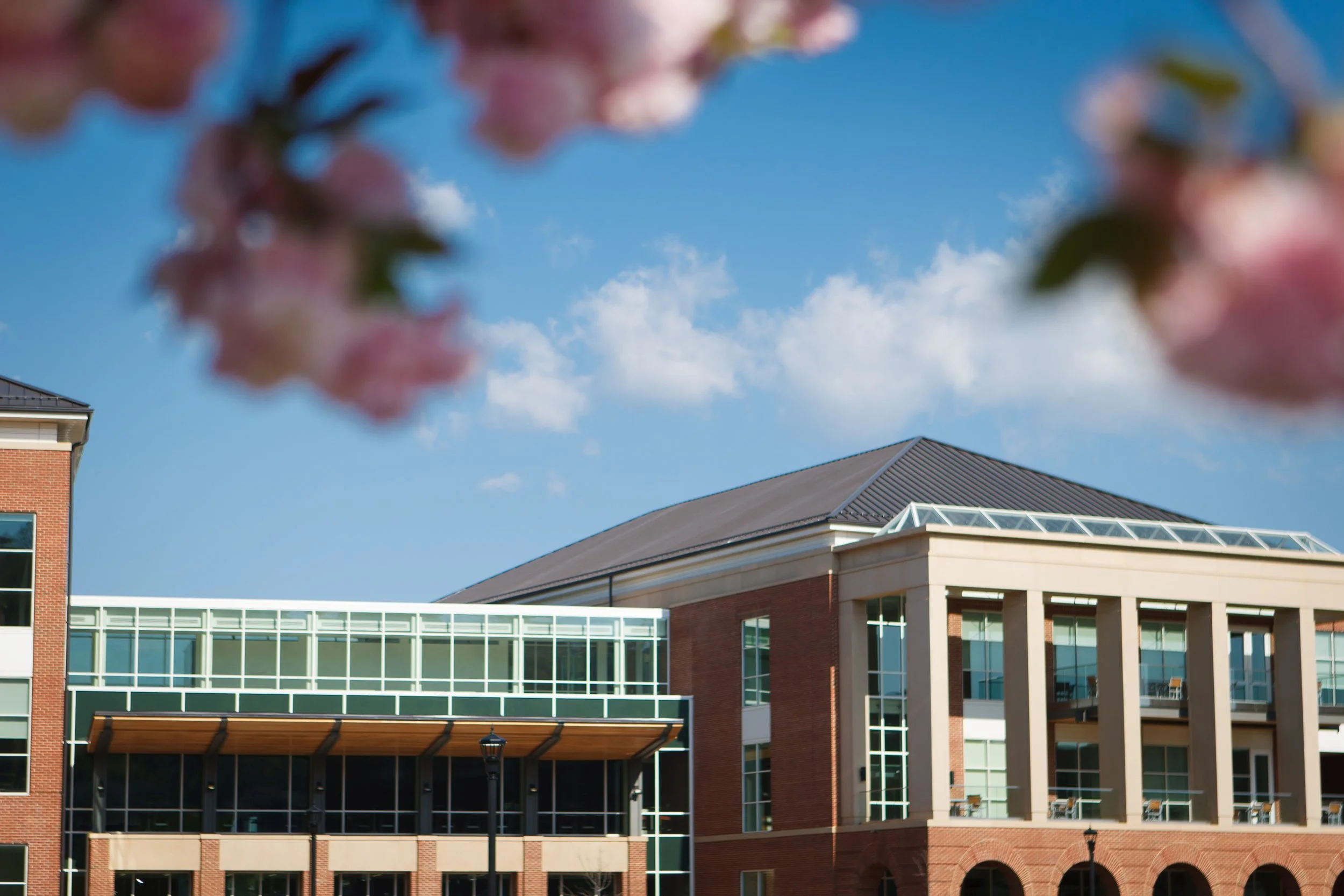 20140423_10506TY.JPG