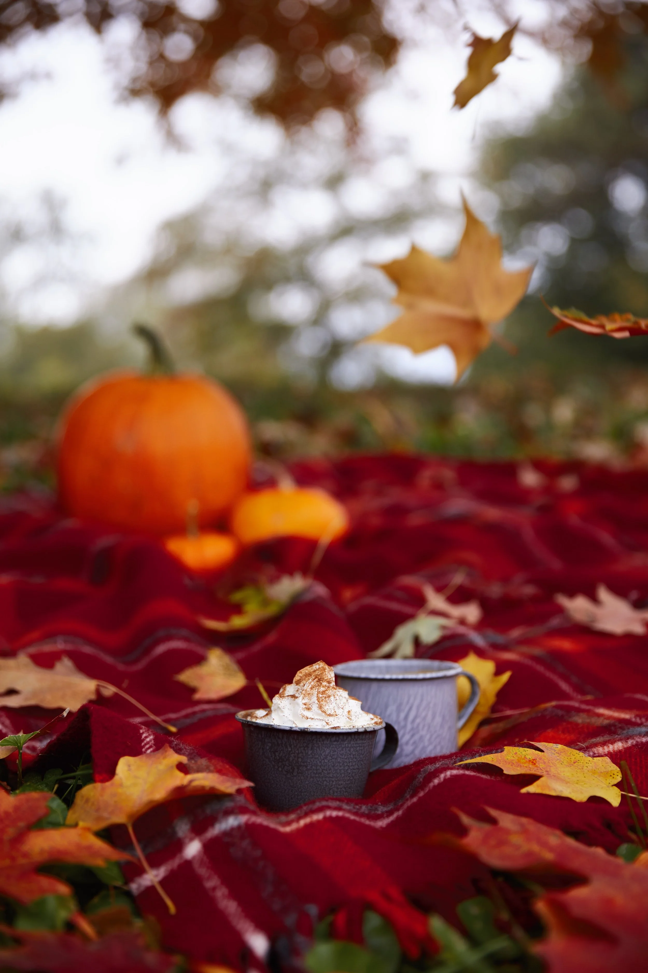 Styled by Nicole Cawfield