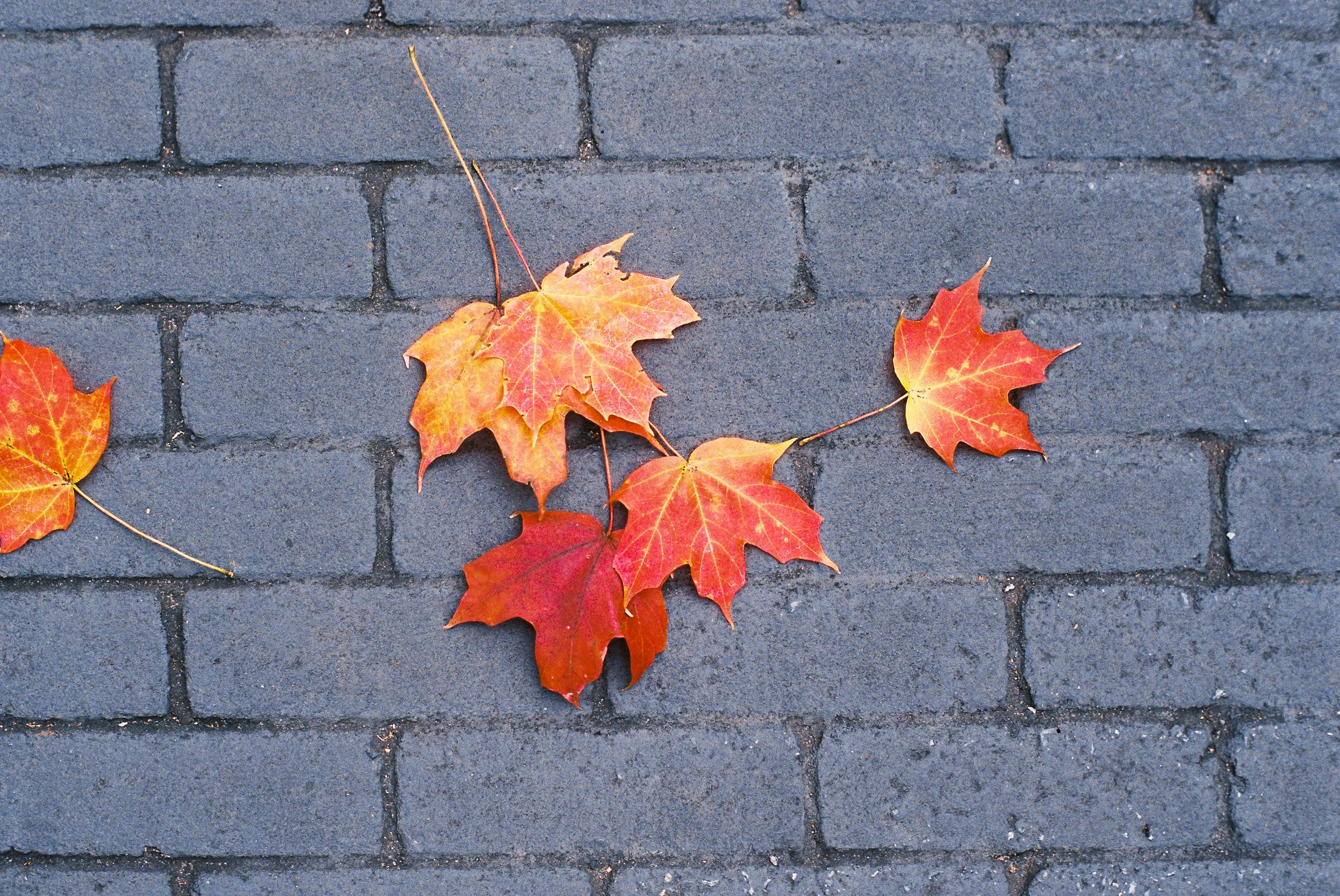 0675012-R1-022-9Aedit_edit.jpg
