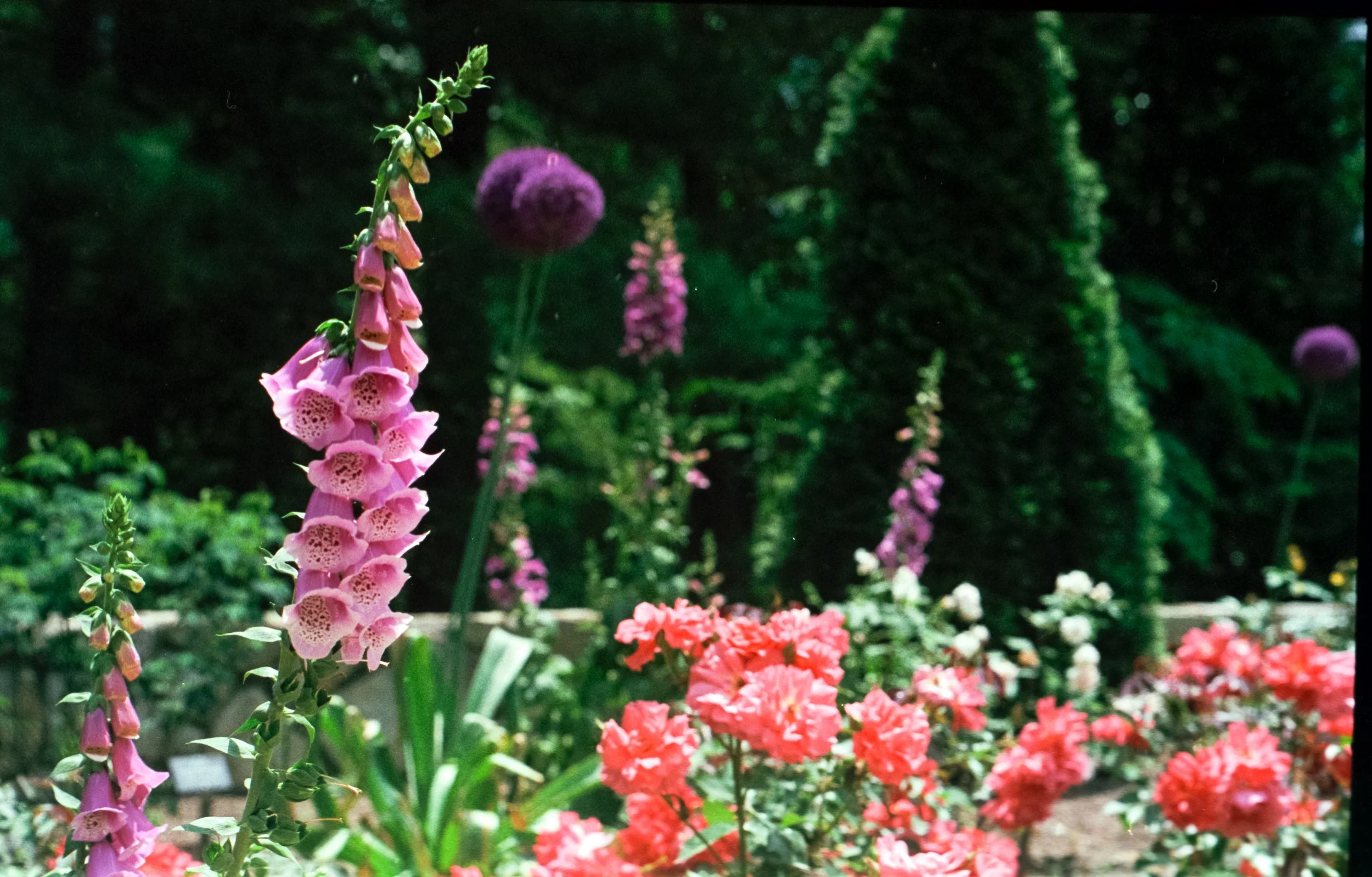 20150501_51.JPG