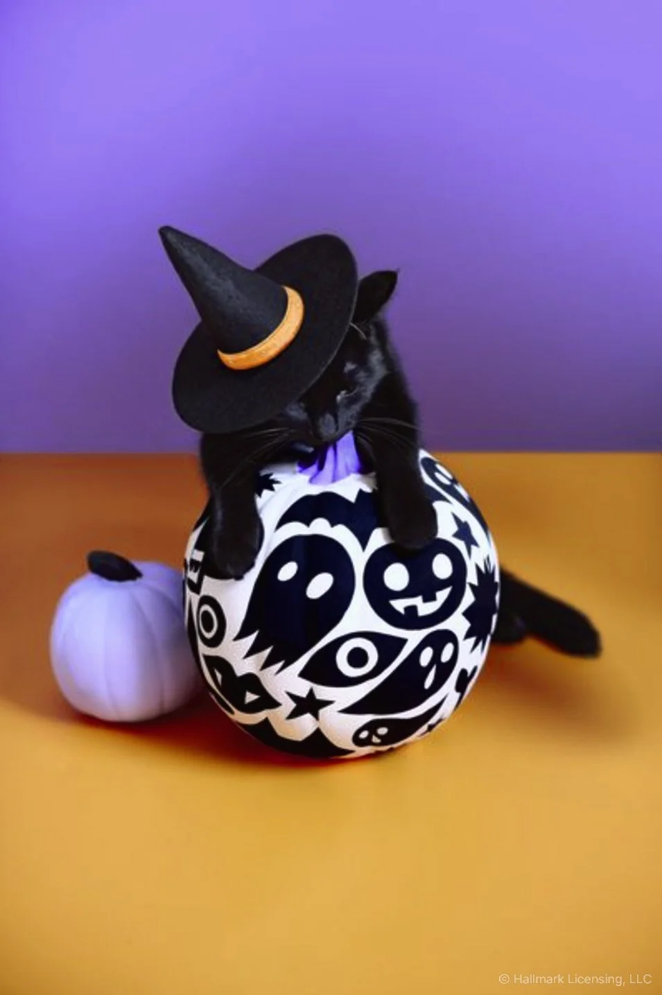 Styled by Kyndall Durkee   |   Art Direction Nate Lewis