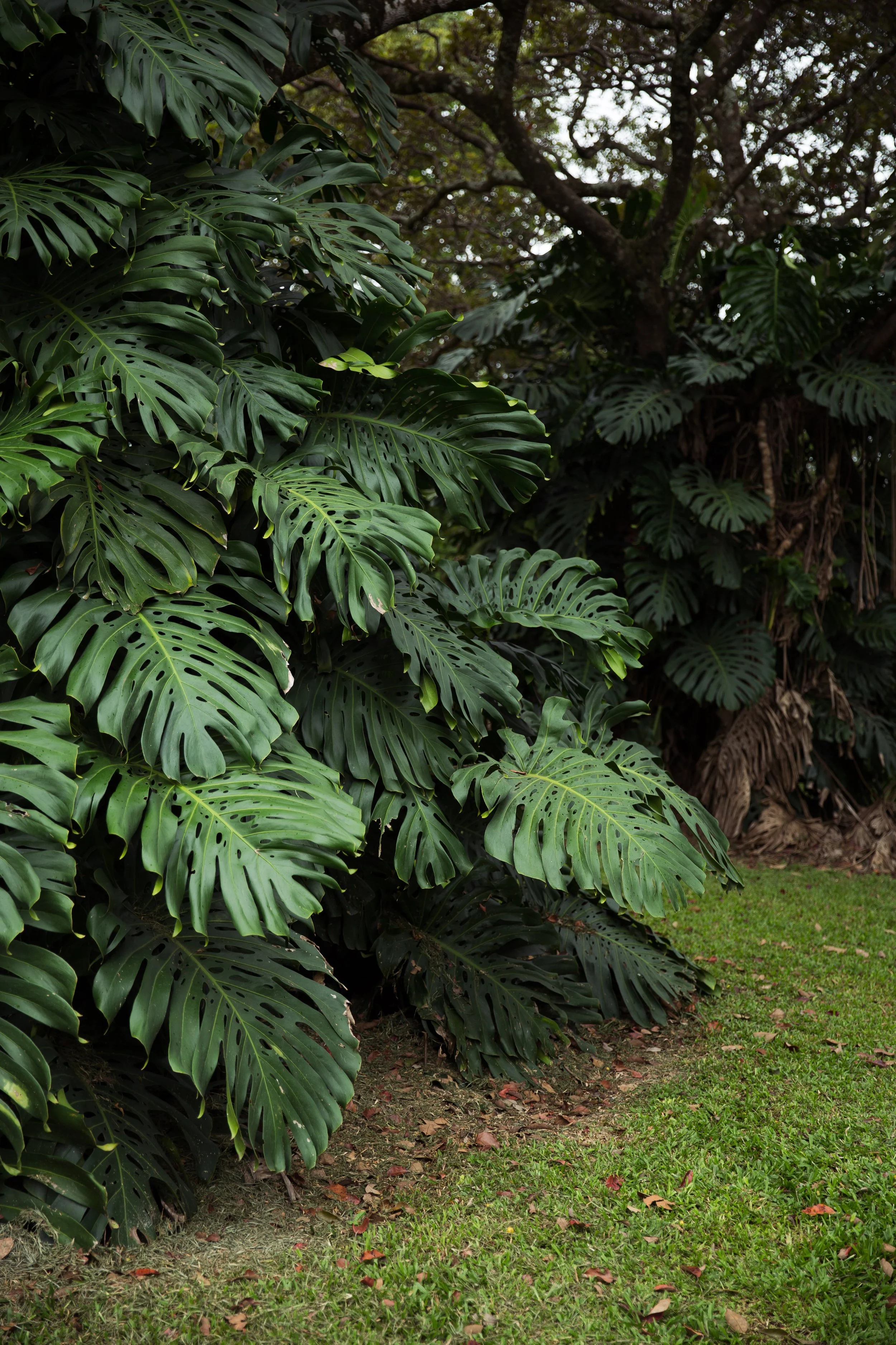 20180710_0384TY copy.jpg