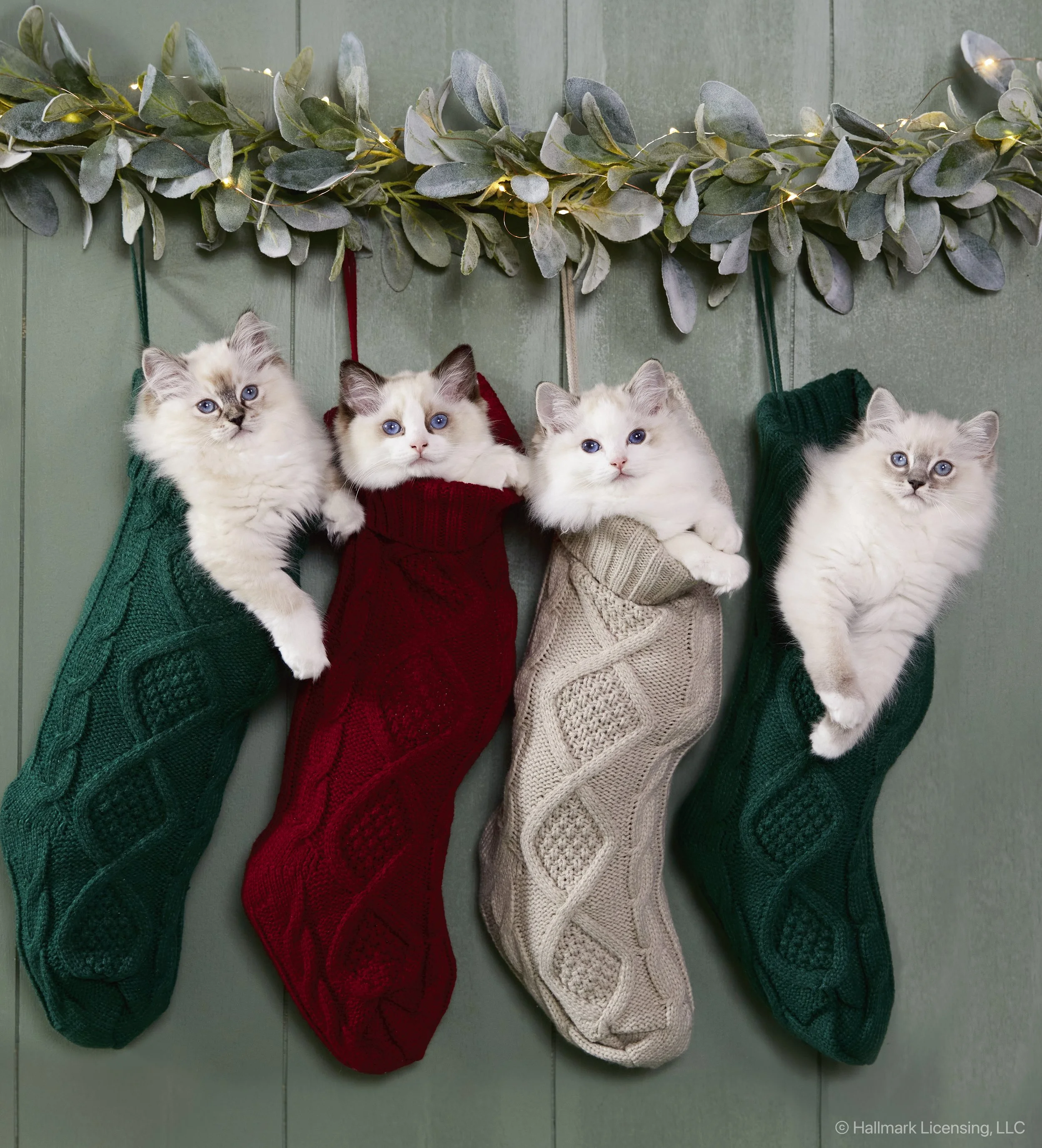 Styled by Jenn Bohatyritz   |   Art Direction Danielle Mousley