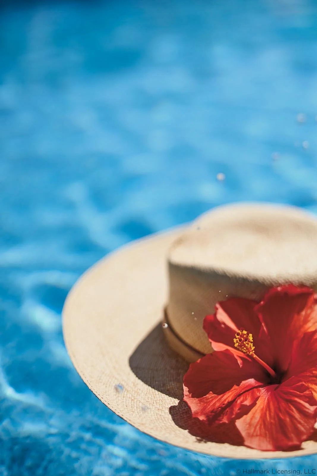 Styled by Briana Williams   |   Art Direction Danielle Mousley